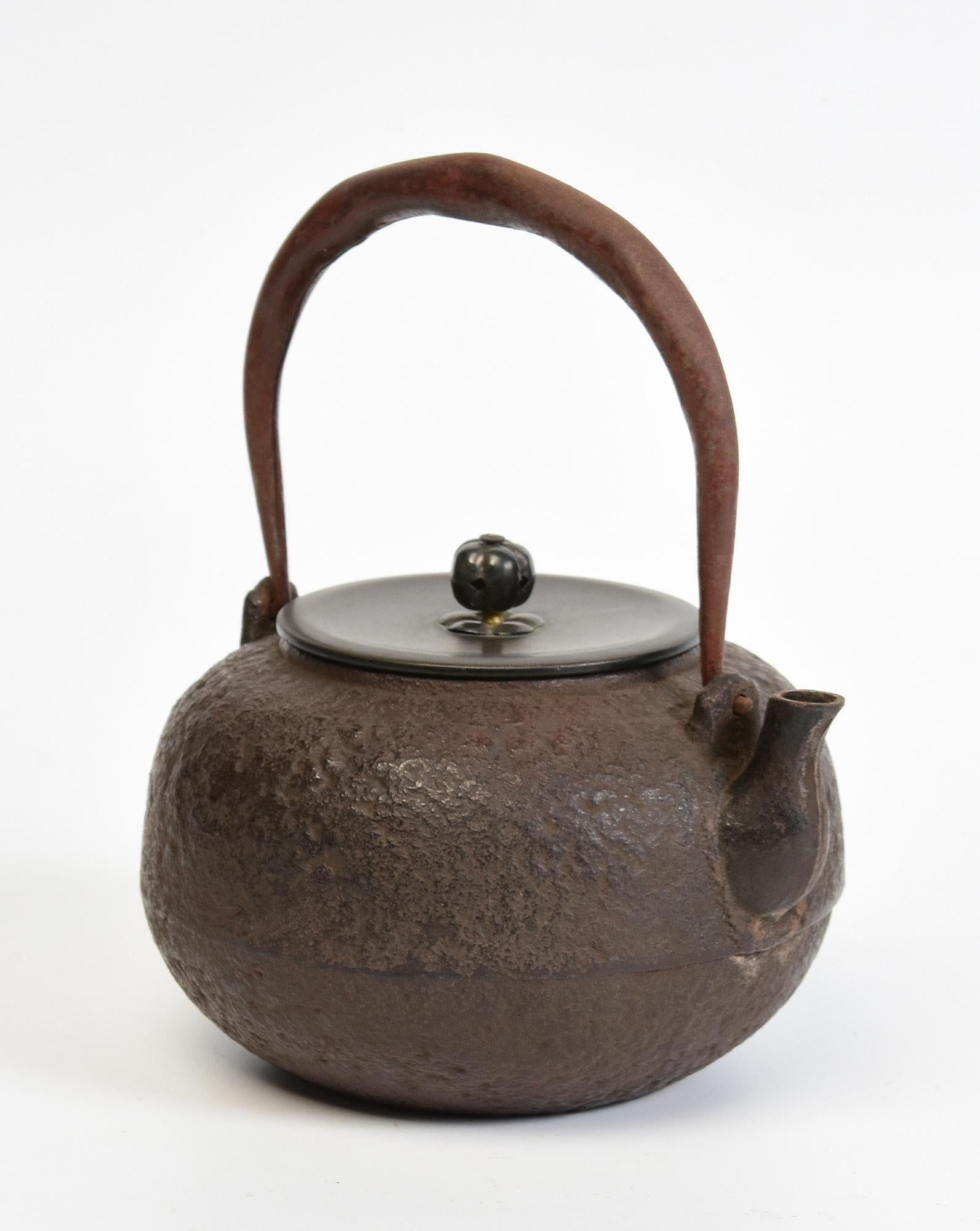 19th Century, Meiji, Antique Japanese Iron Teapot with Bronze Lid For Sale 6