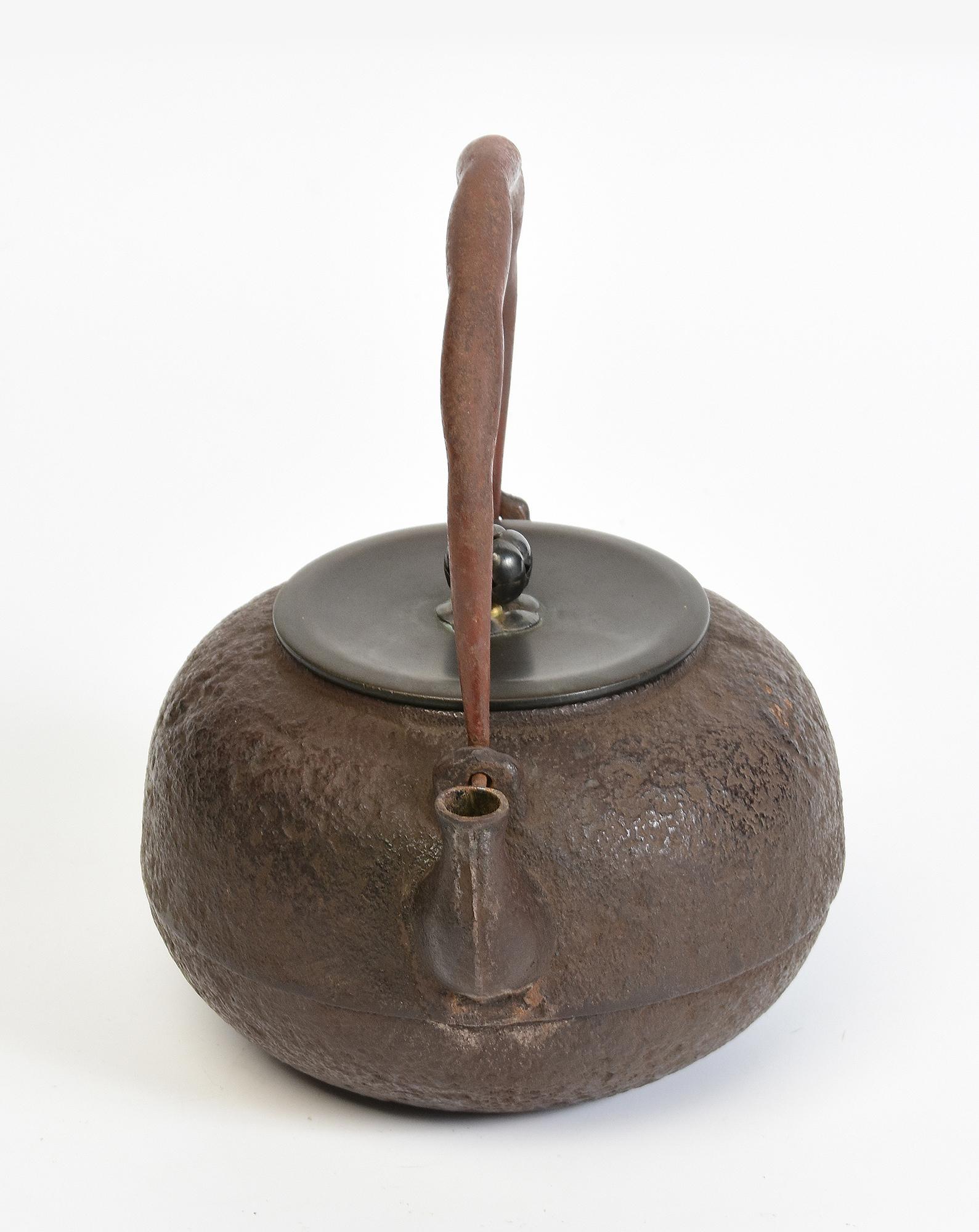 19th Century, Meiji, Antique Japanese Iron Teapot with Bronze Lid For Sale 8