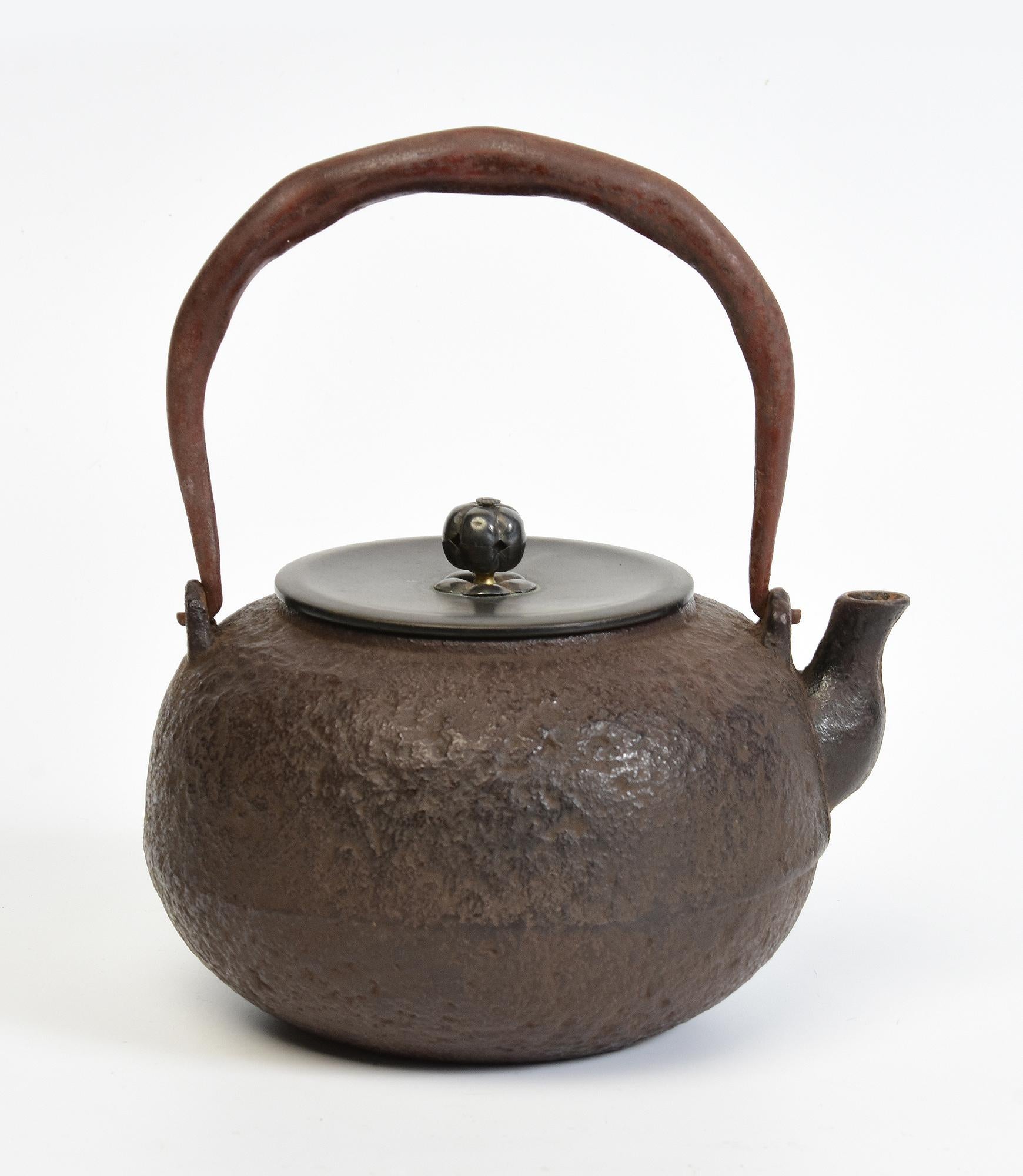 19th Century, Meiji, Antique Japanese Iron Teapot with Bronze Lid For Sale 4