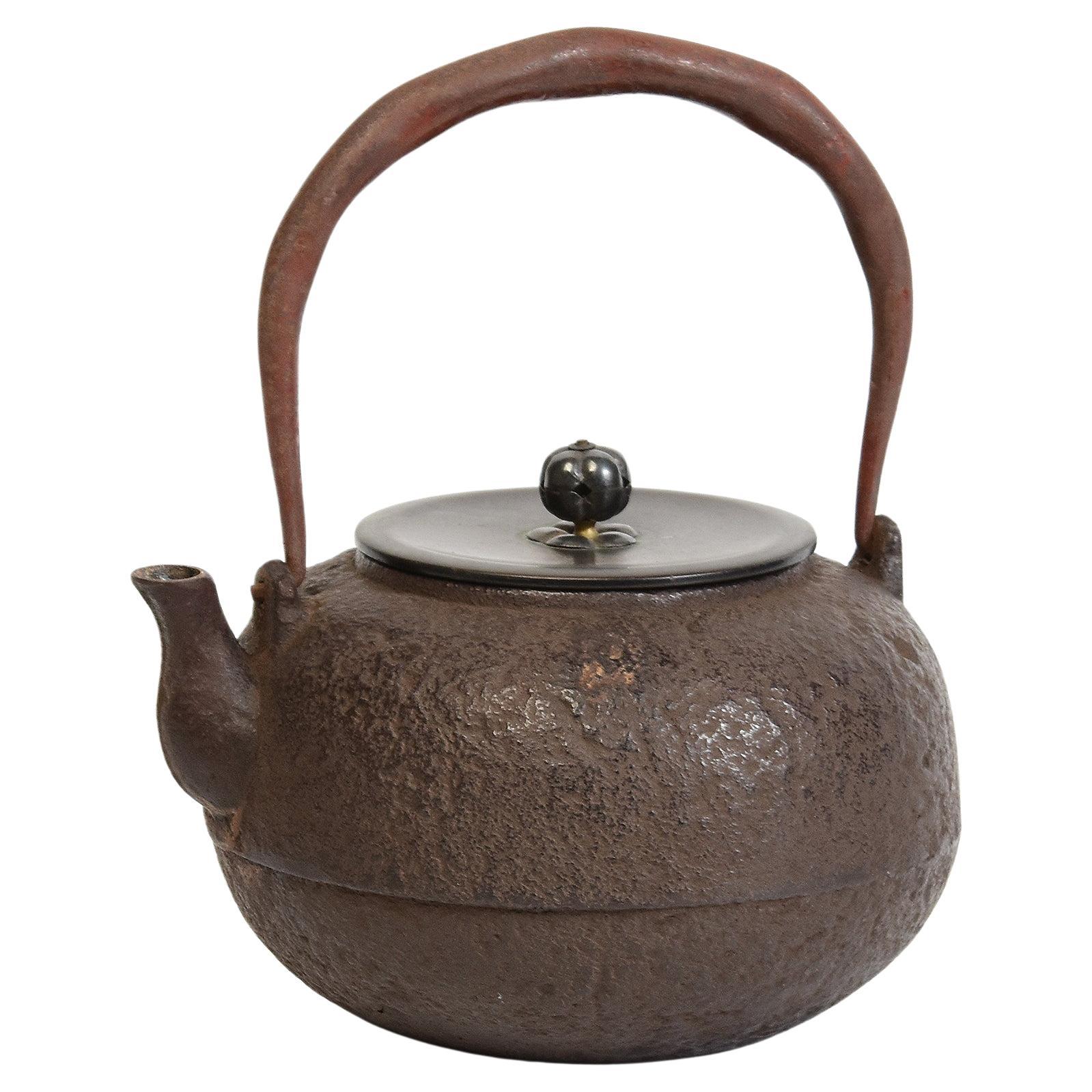 Antike japanische Meiji-Teekanne aus Eisen mit Bronzedeckel aus dem 19. Jahrhundert