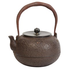 19th Century, Meiji, Antique Japanese Iron Teapot with Bronze Lid