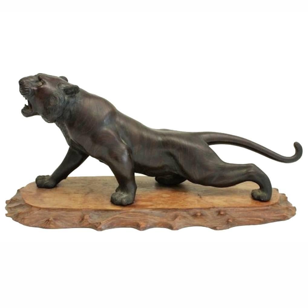 A stunning Meiji period bronze tiger stood upon root wood stand.