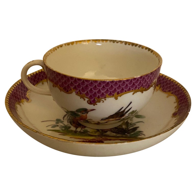 19th Century Meissen Hand Painted Cup and Saucer For Sale