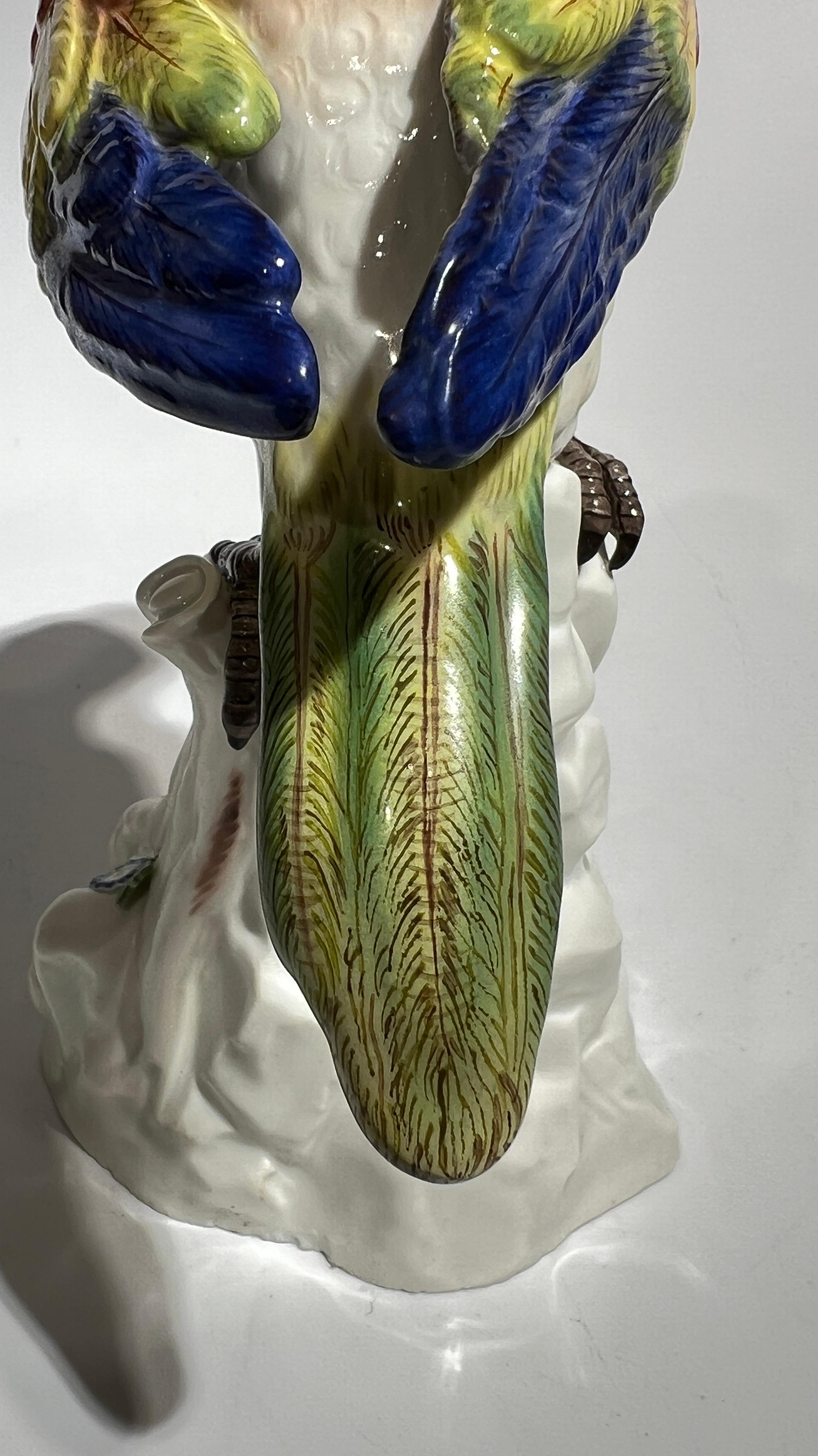 Figurine de perroquet de Meissen du 19ème siècle en vente 5