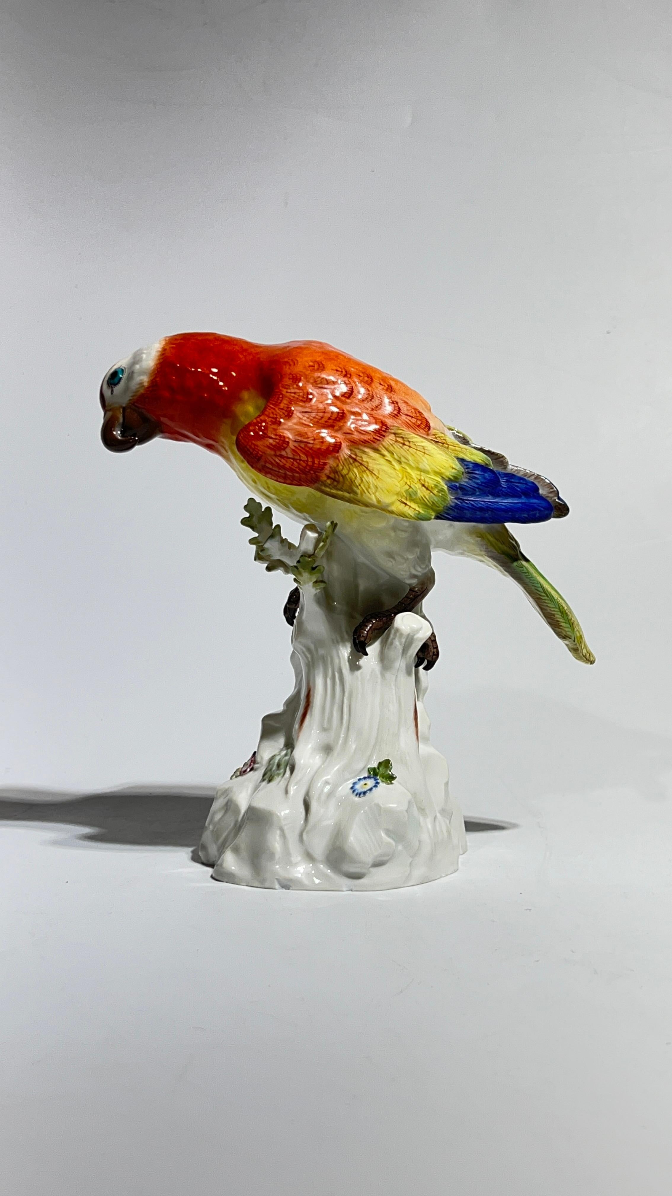 Antike (Ende 19. Jahrhundert) polychrom glasierte Porzellanfigur eines Papageis aus Meissen.  In ausgezeichnetem Zustand mit professioneller Restaurierung am Schwanz und ansonsten ohne Schäden.