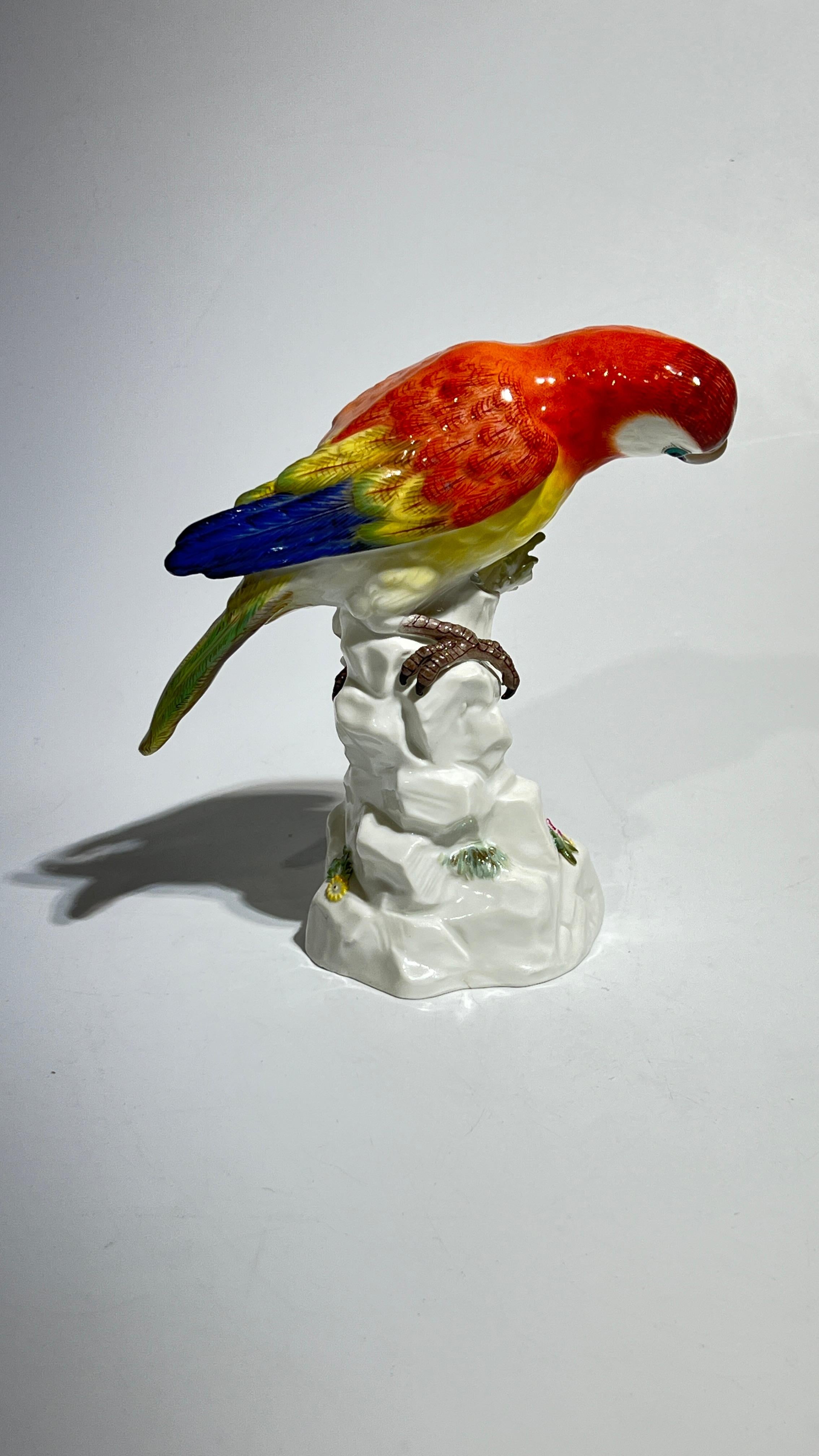 German 19th Century Meissen Parrot Figurine For Sale