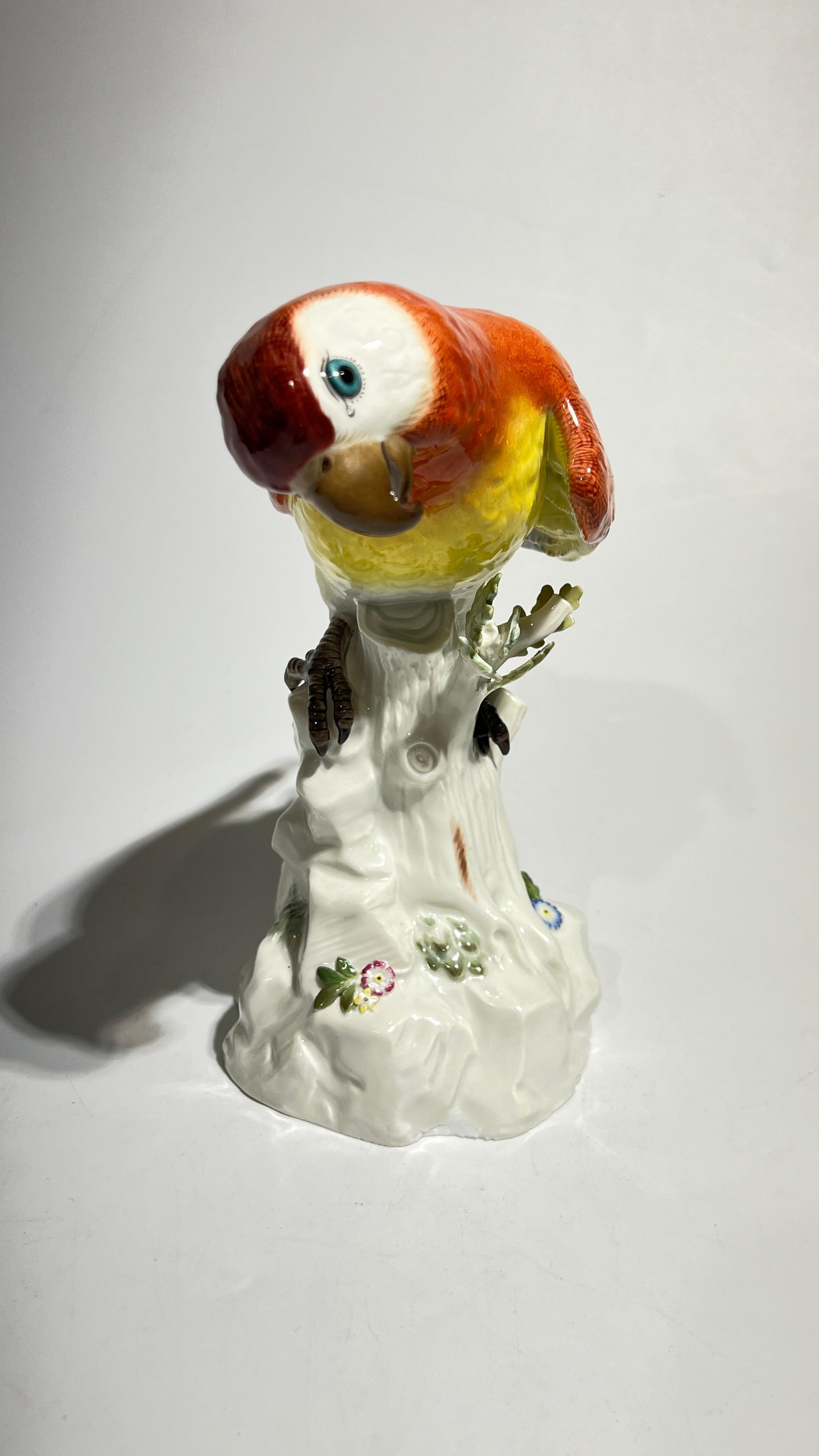 19th Century Meissen Parrot Figurine For Sale 1