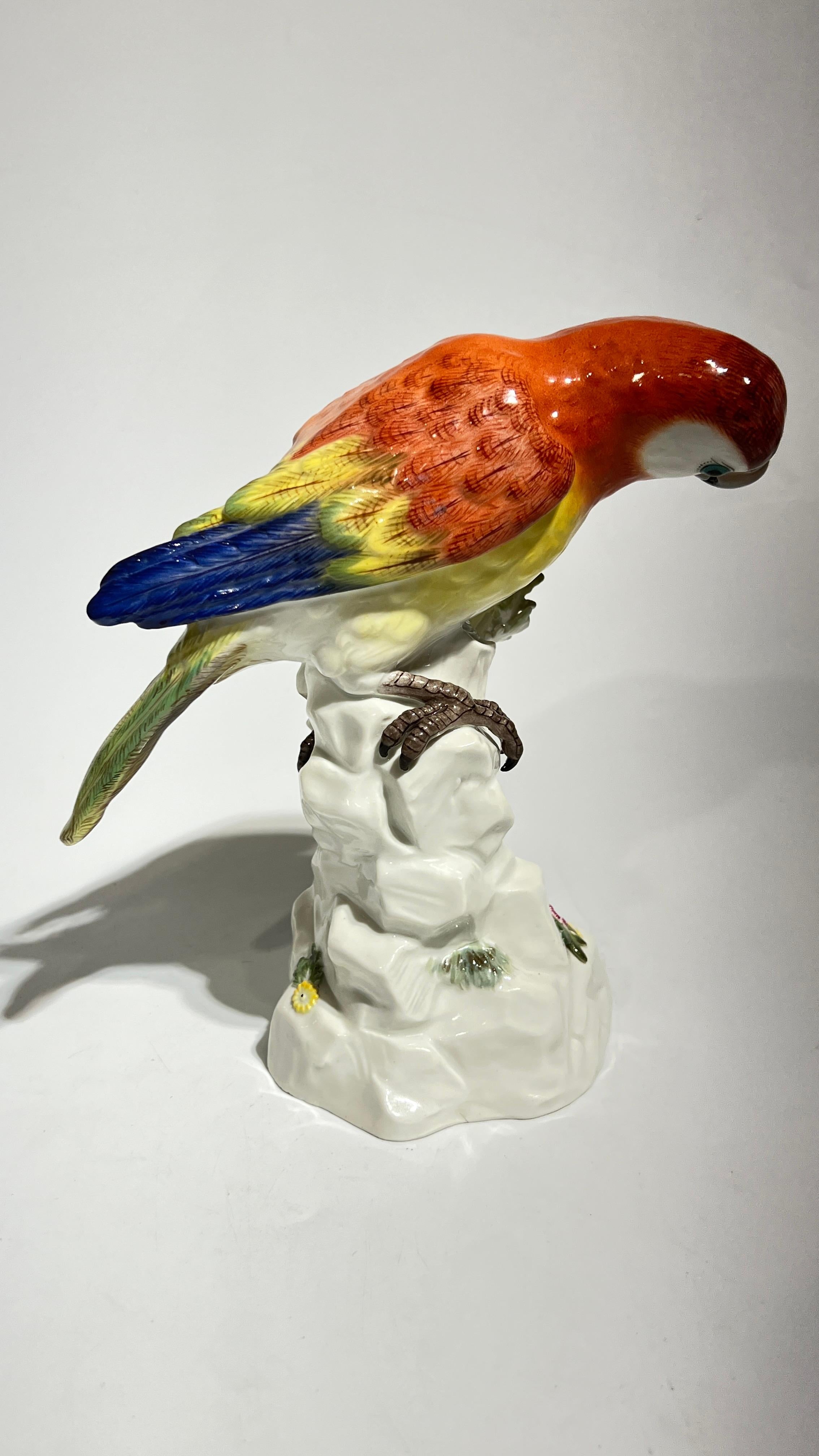 19th Century Meissen Parrot Figurine For Sale 3