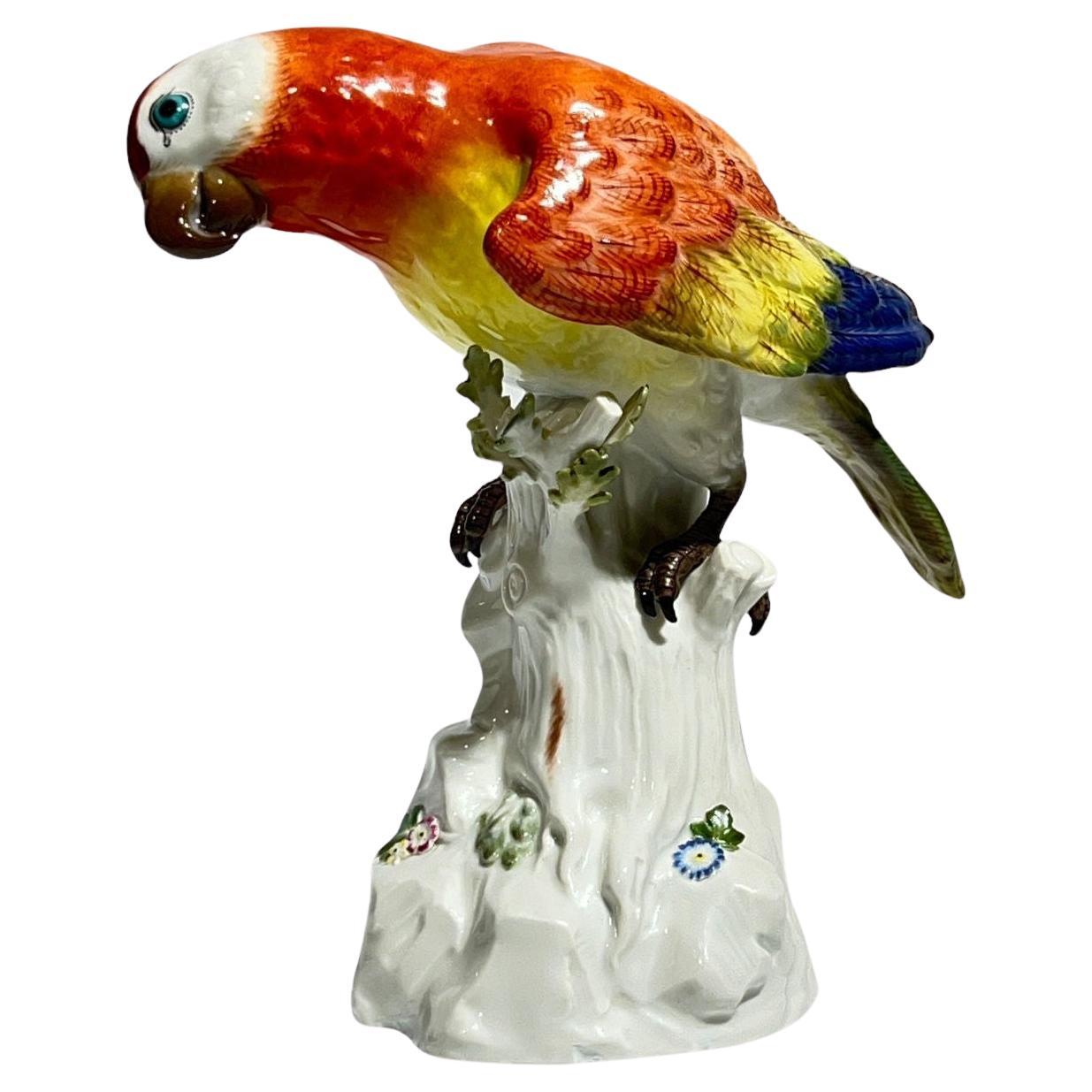 19th Century Meissen Parrot Figurine For Sale