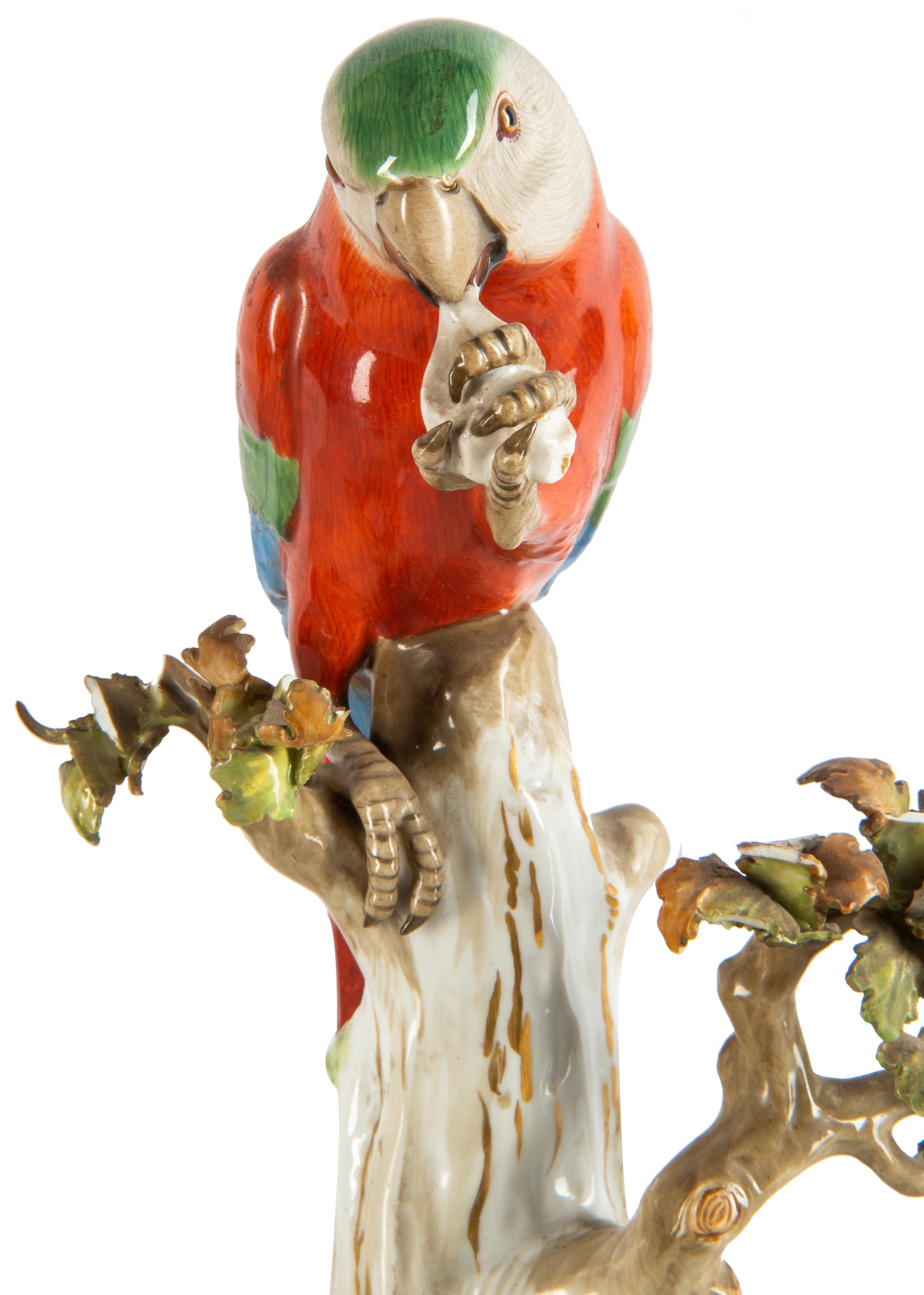 Allemand perroquet en porcelaine de Meissen du 19ème siècle