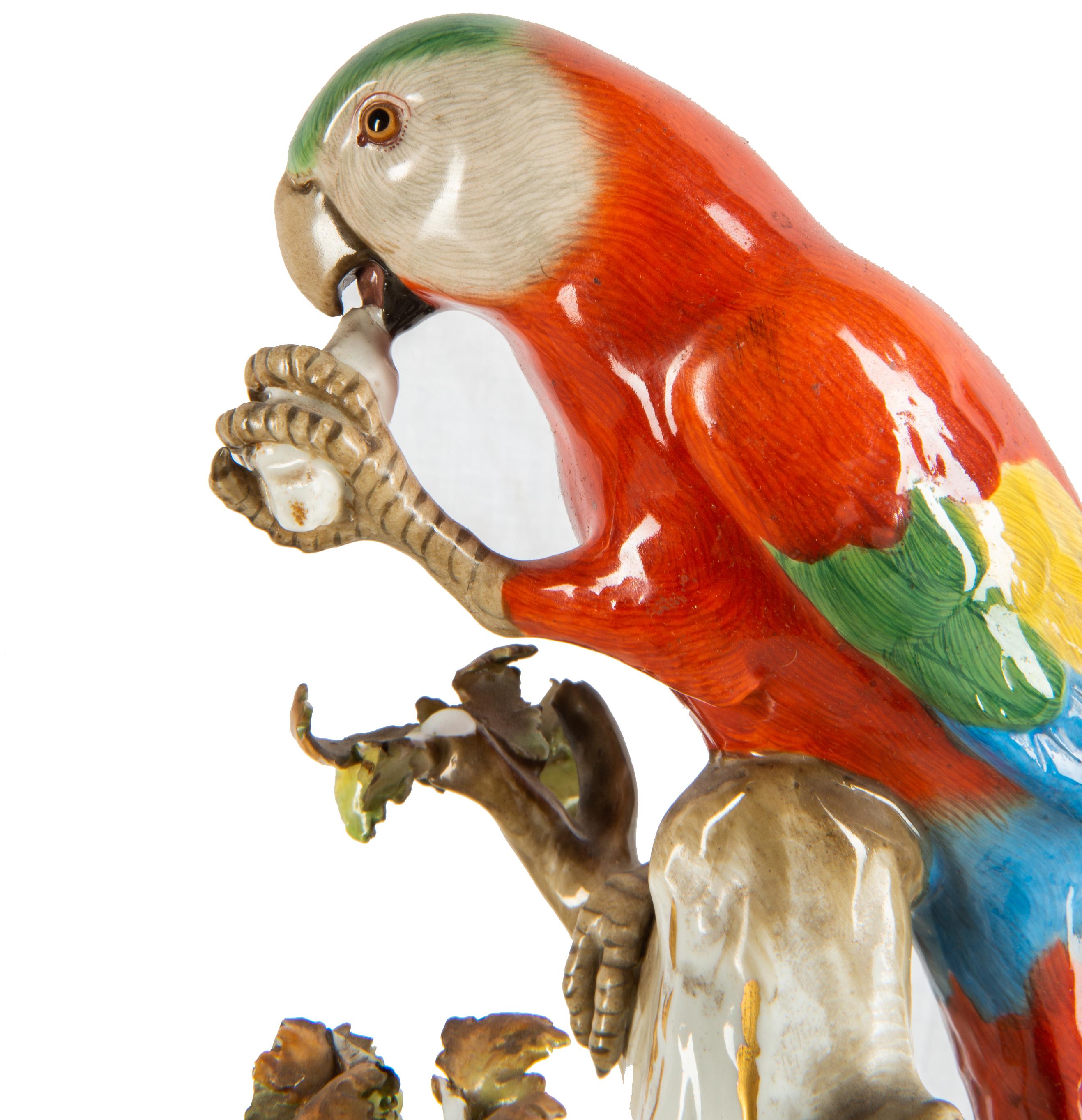 German 19th Century Meissen Porcelain Parrot