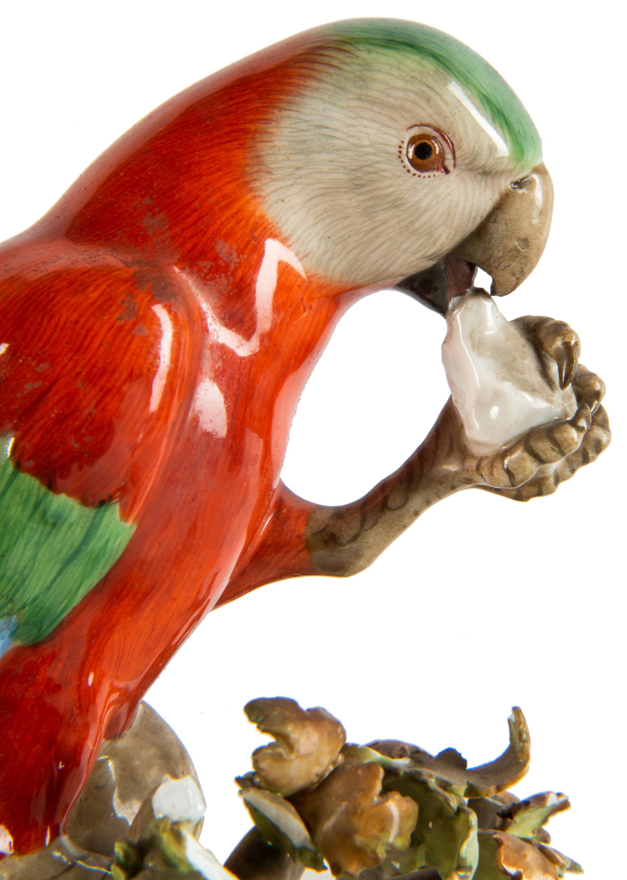 19th Century Meissen Porcelain Parrot 1