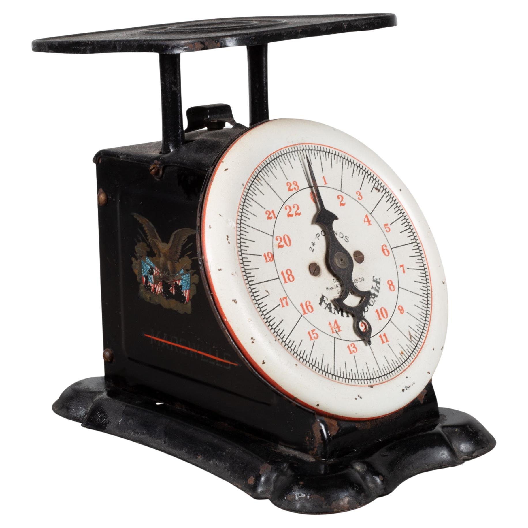 19th Century Metal "Family Scale", circa 1899-1903  For Sale
