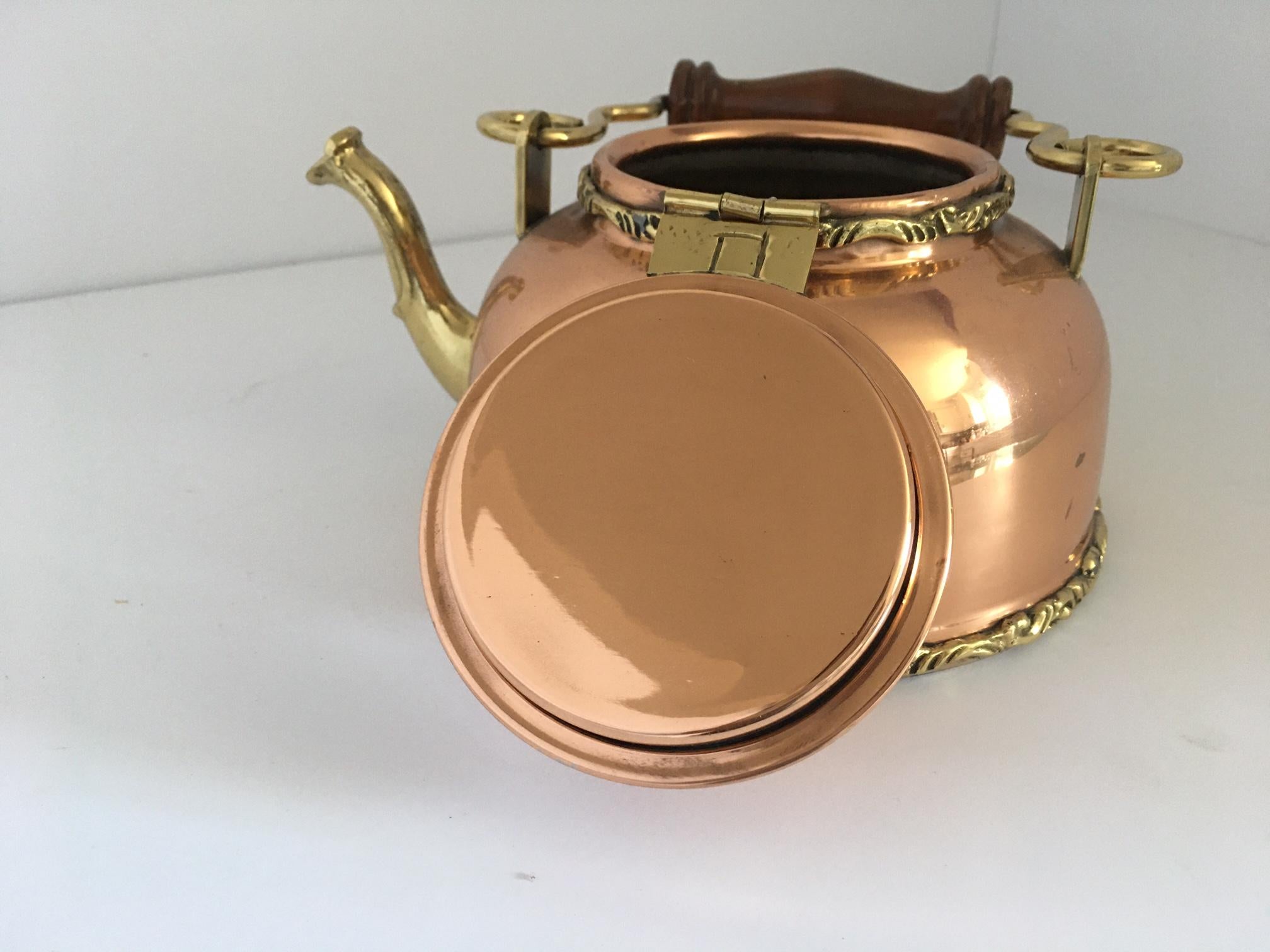 19th Century Mexican Tea Kettle In Good Condition In Pomona, CA