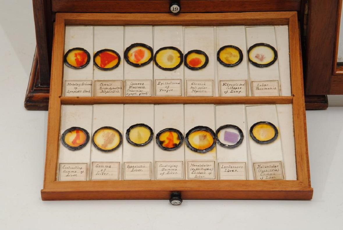 Brass 19th Century Microscope Slide Cabinet and 280 Slides For Sale