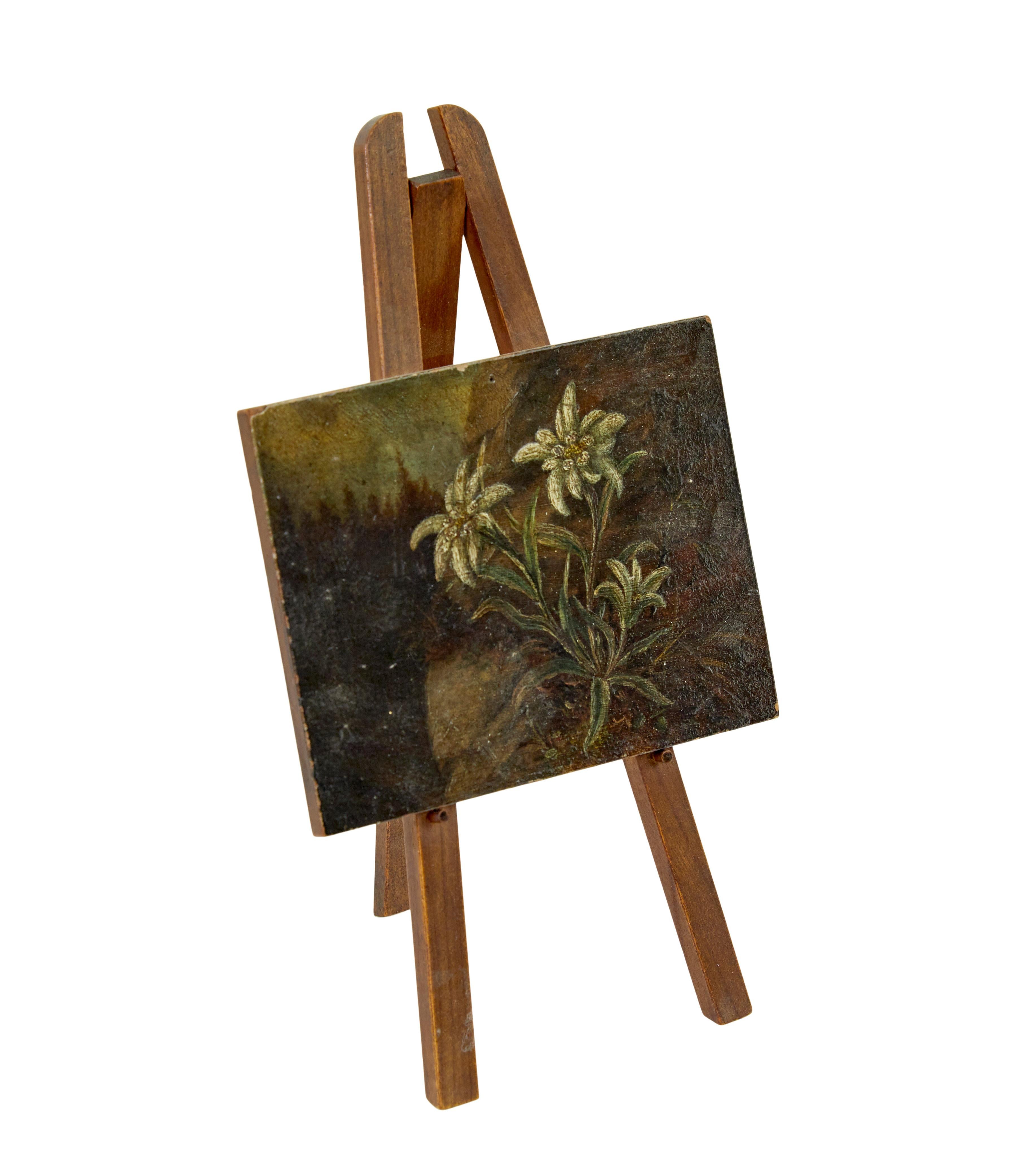Peinture miniature à l'huile sur carton du 19e siècle représentant des edelweiss vers 1880.

Tableau d'edelweiss de bureau de belle qualité, présenté sur un chevalet en bois.

Pertes mineures à la peinture.