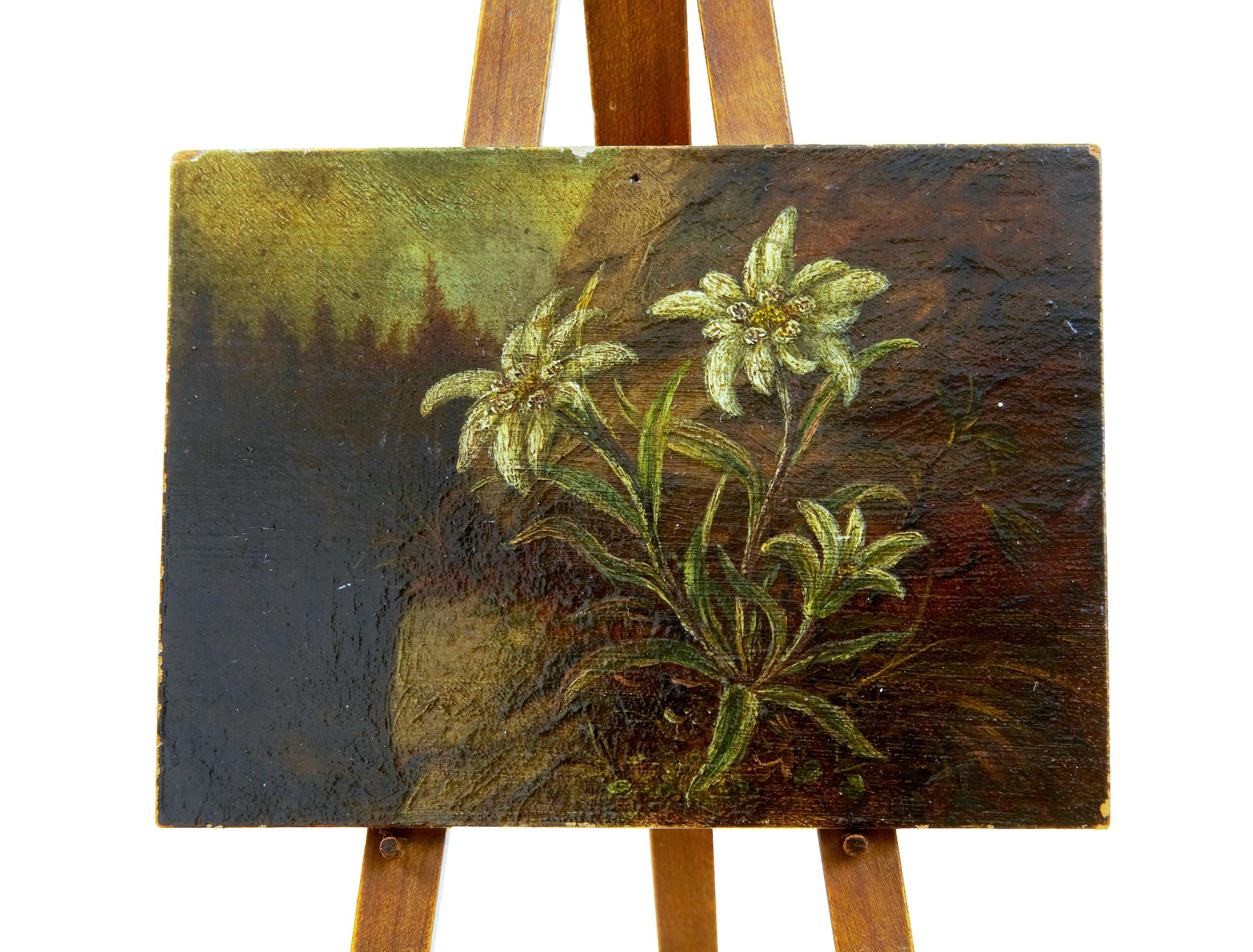 Victorian 19th Century Miniature Oil on Board Painting of Edelweiss