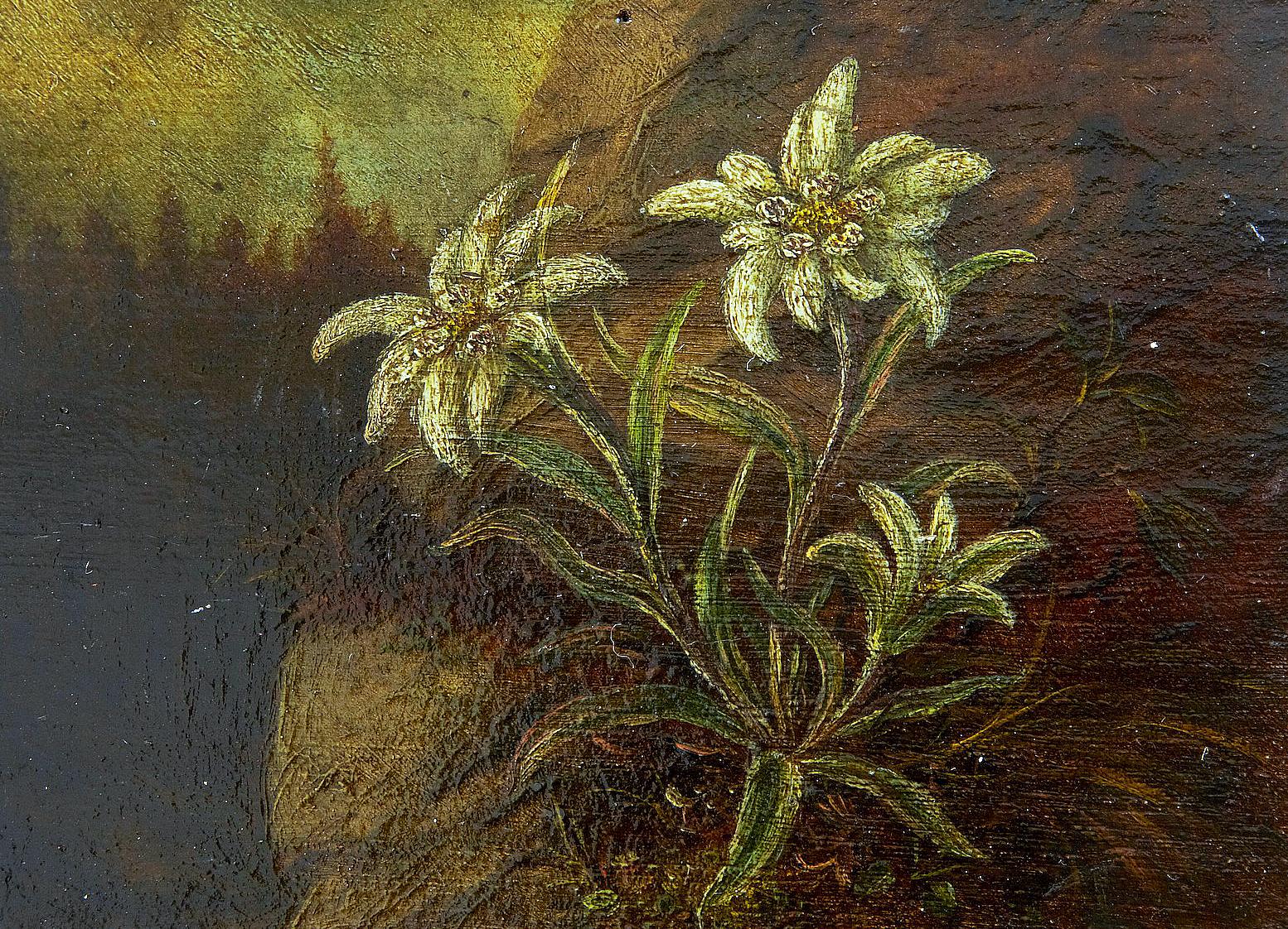 German 19th Century Miniature Oil on Board Painting of Edelweiss