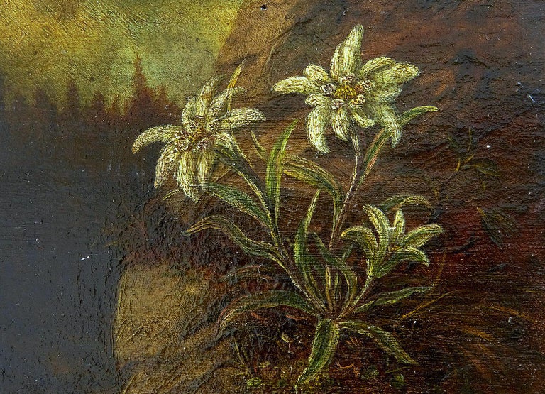 19th Century Miniature Oil on Board Painting of Edelweiss at 1stDibs