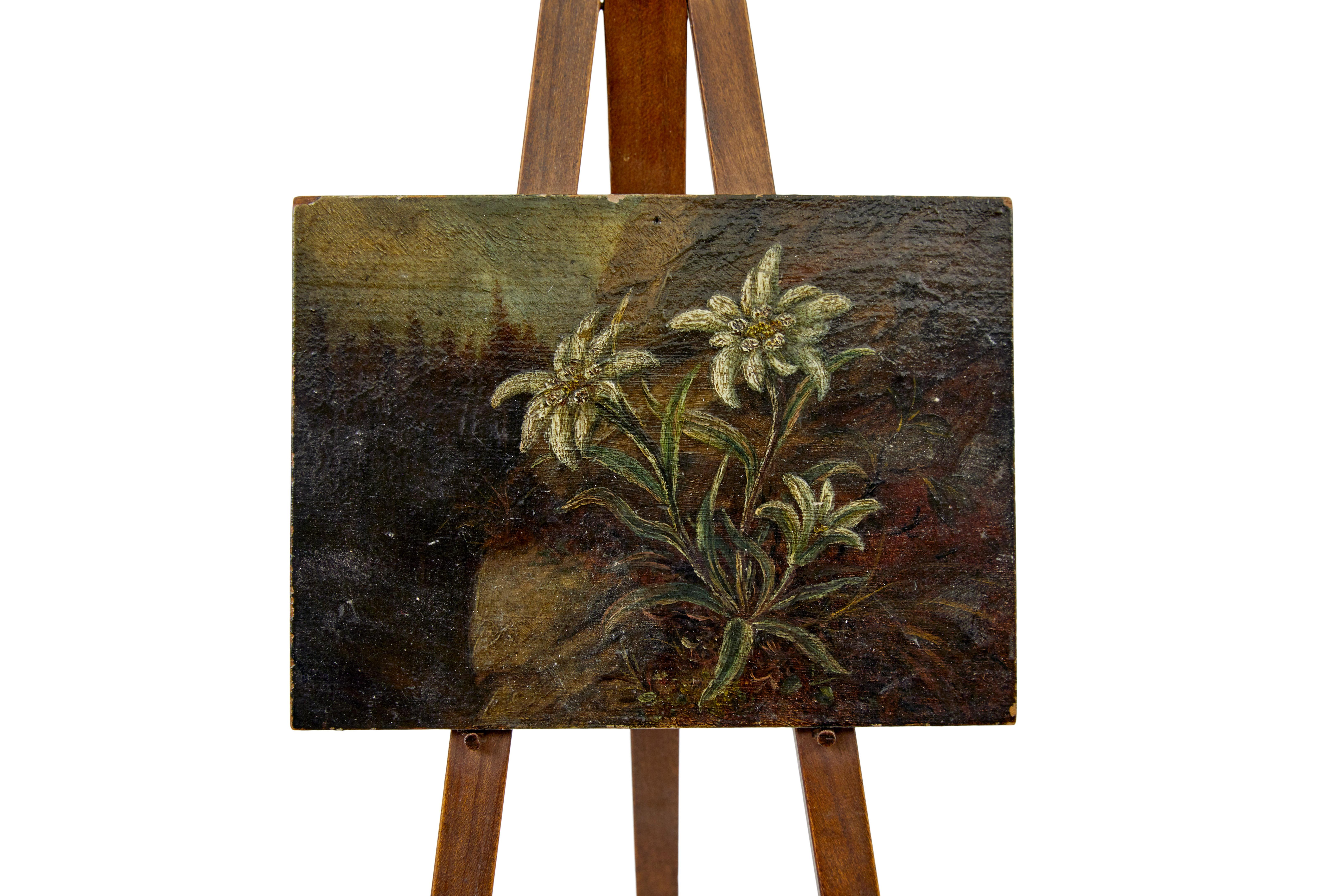Hand-Painted 19th Century miniature oil on board painting of edelweiss For Sale