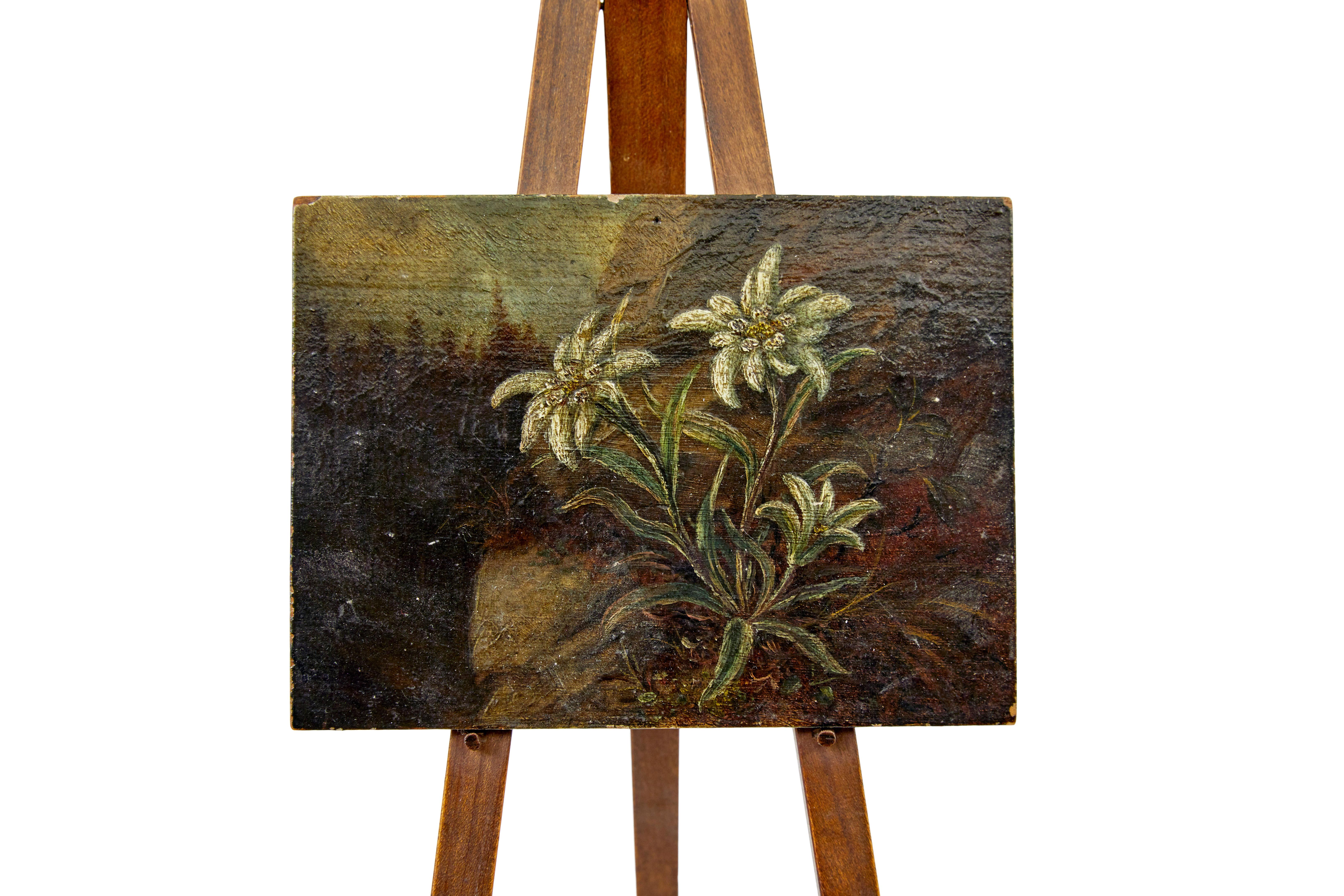 Sculpté à la main Peinture miniature à l'huile sur carton du 19ème siècle d'édelweiss en vente