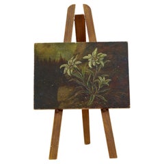 19th Century Miniature Oil on Board Painting of Edelweiss
