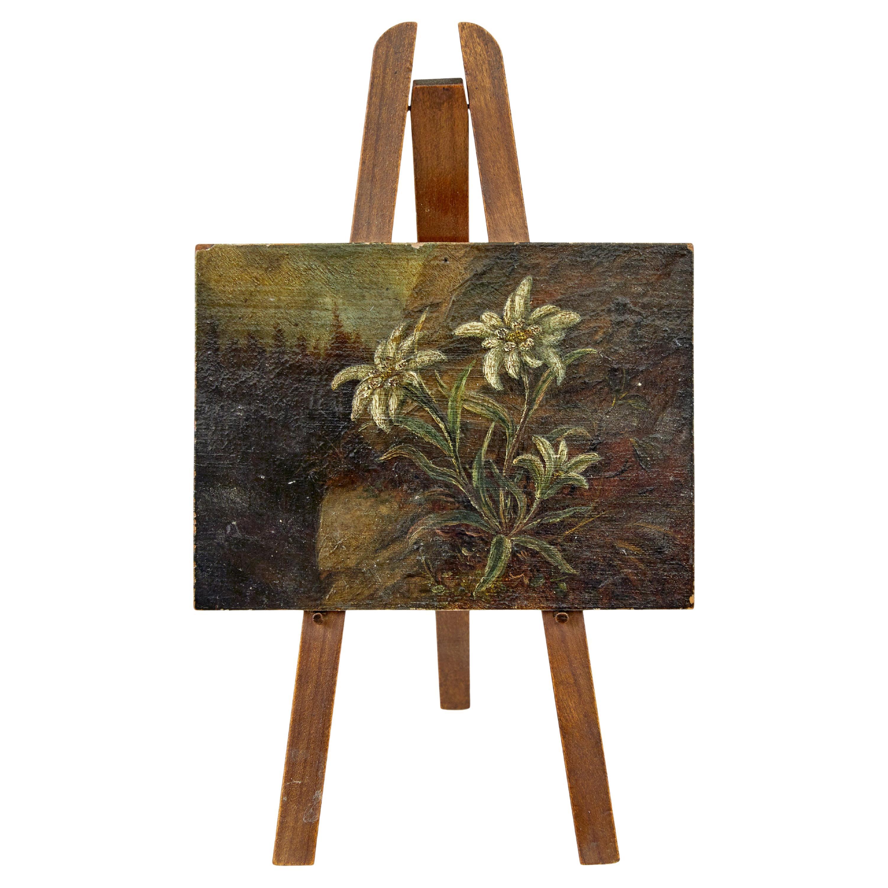 19th Century miniature oil on board painting of edelweiss For Sale