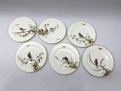 19th Century Minton Bird and Insect Dessert Service 17 Pieces
