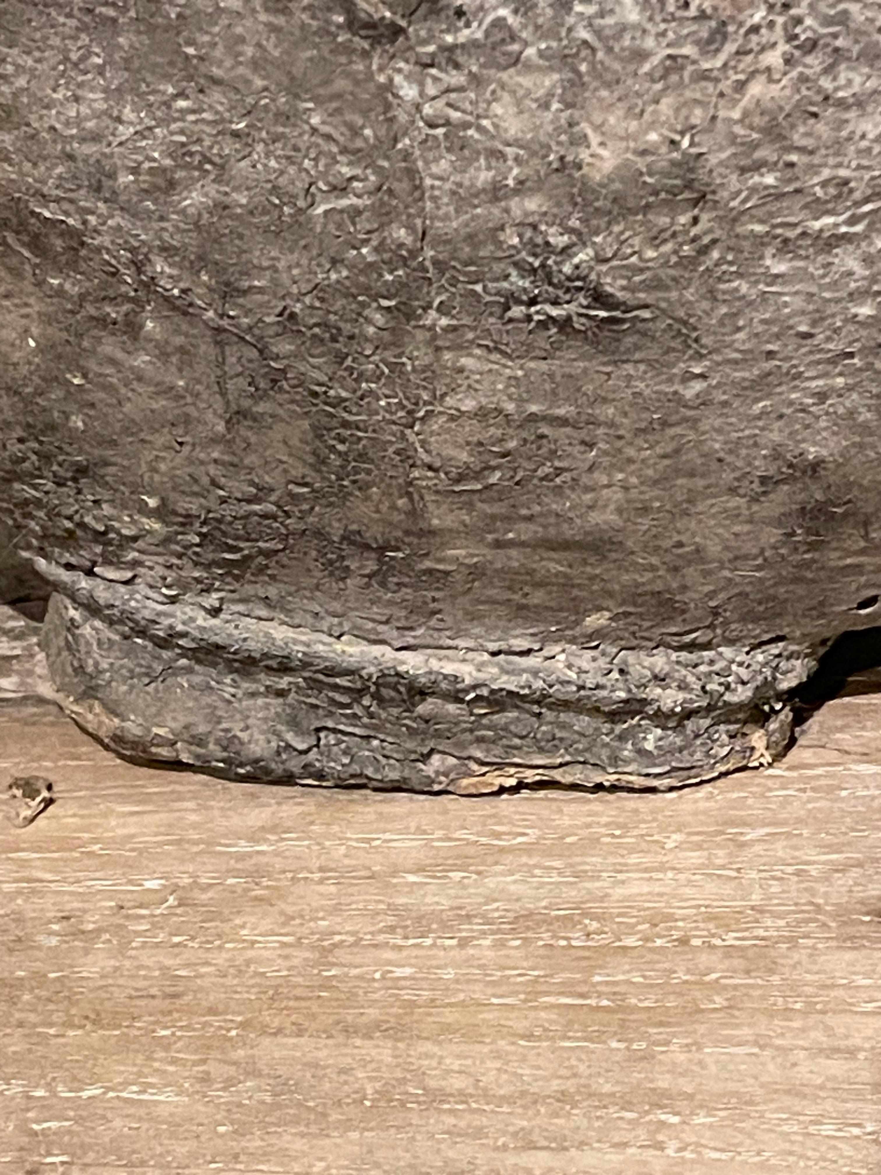 Vaso mongolo del XIX secolo, Mongolia In condizioni discrete in vendita a New York, NY
