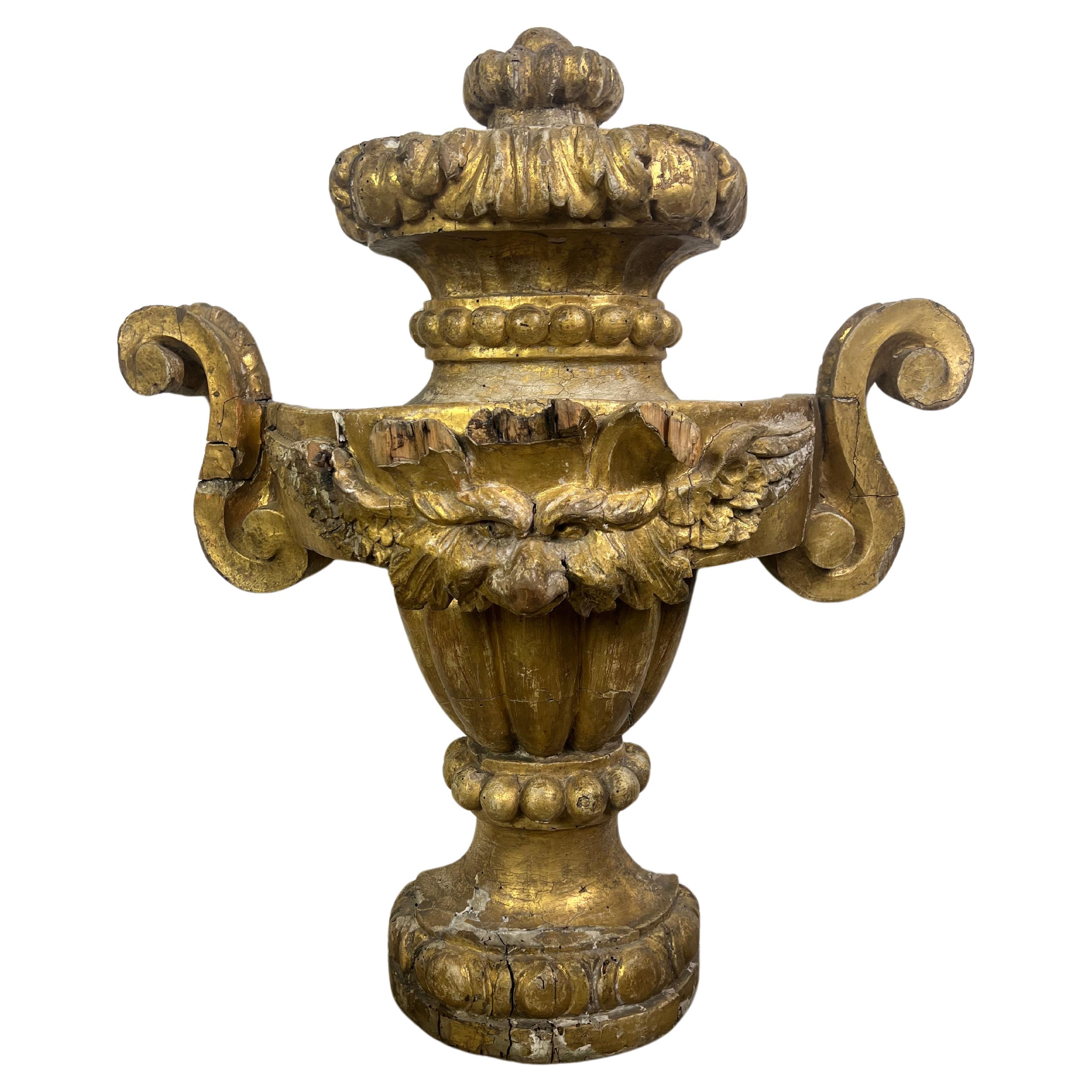 Monumentale urne italienne en bois doré du 19ème siècle