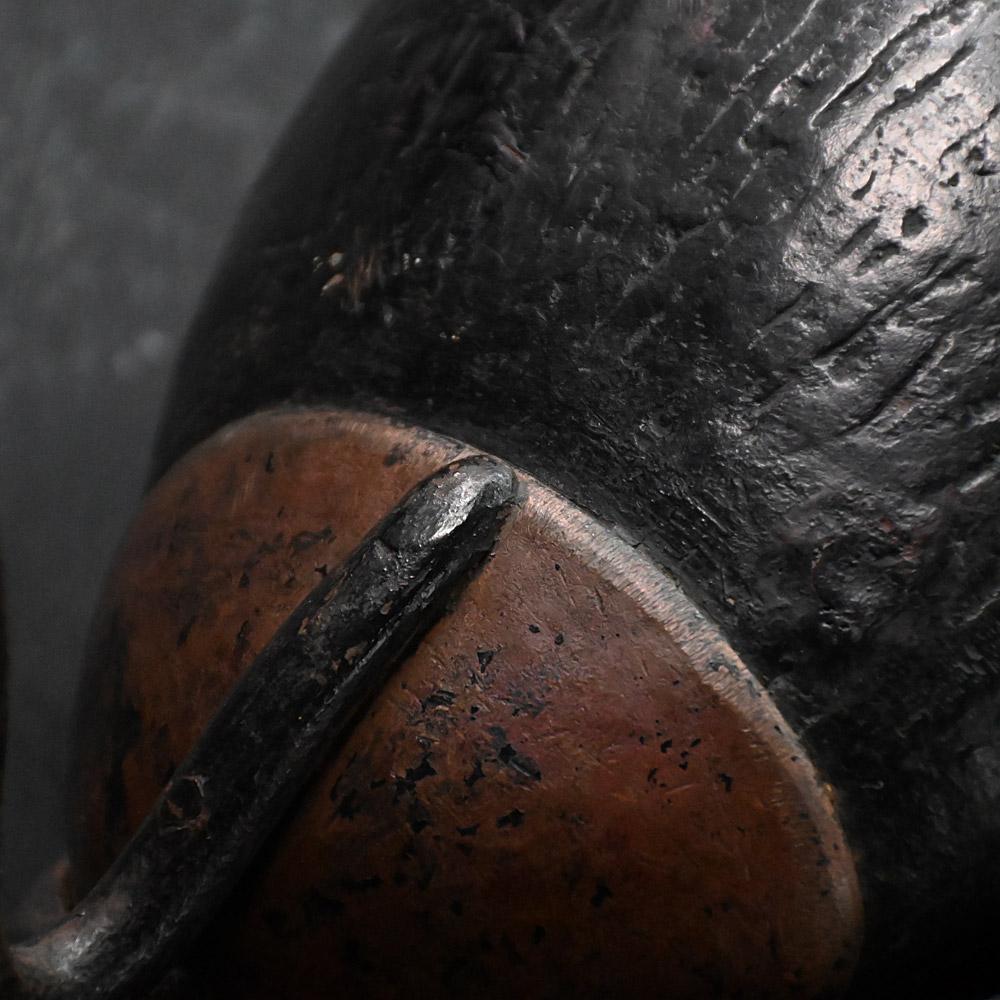 19th century mounted Coco de Mer For Sale 2