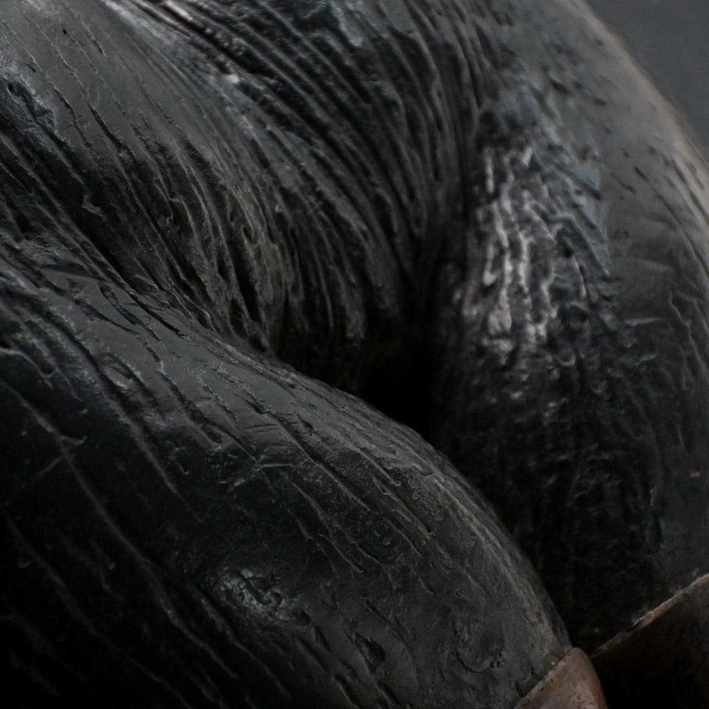 19th century mounted Coco de Mer For Sale 3