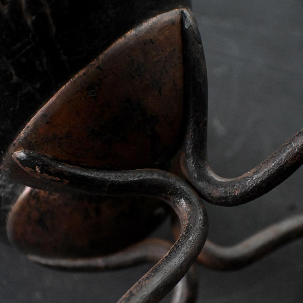 19th century mounted Coco de Mer For Sale 4