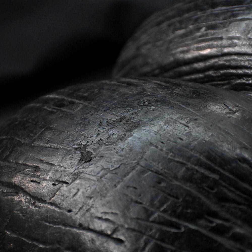 19th century mounted Coco de Mer For Sale 5