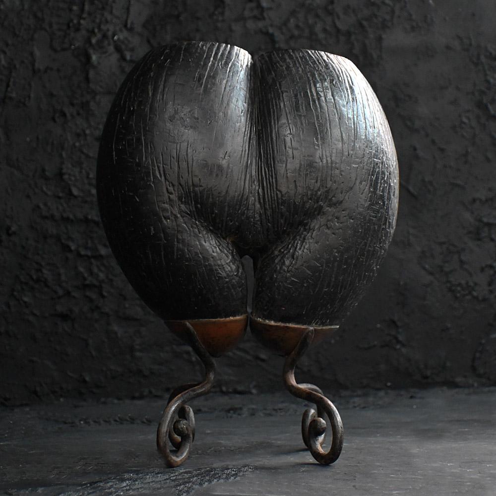 19th century mounted Coco de Mer 
Dimensions in inches: H 17” x W 12” x D 7.5” 
Age: 1890 - 1900 
Origin: Unknown
Condition: Aged
Overview
A great example of a 19th Century hand forged metal mounted Coco de Mer oversized nut. With open top this item