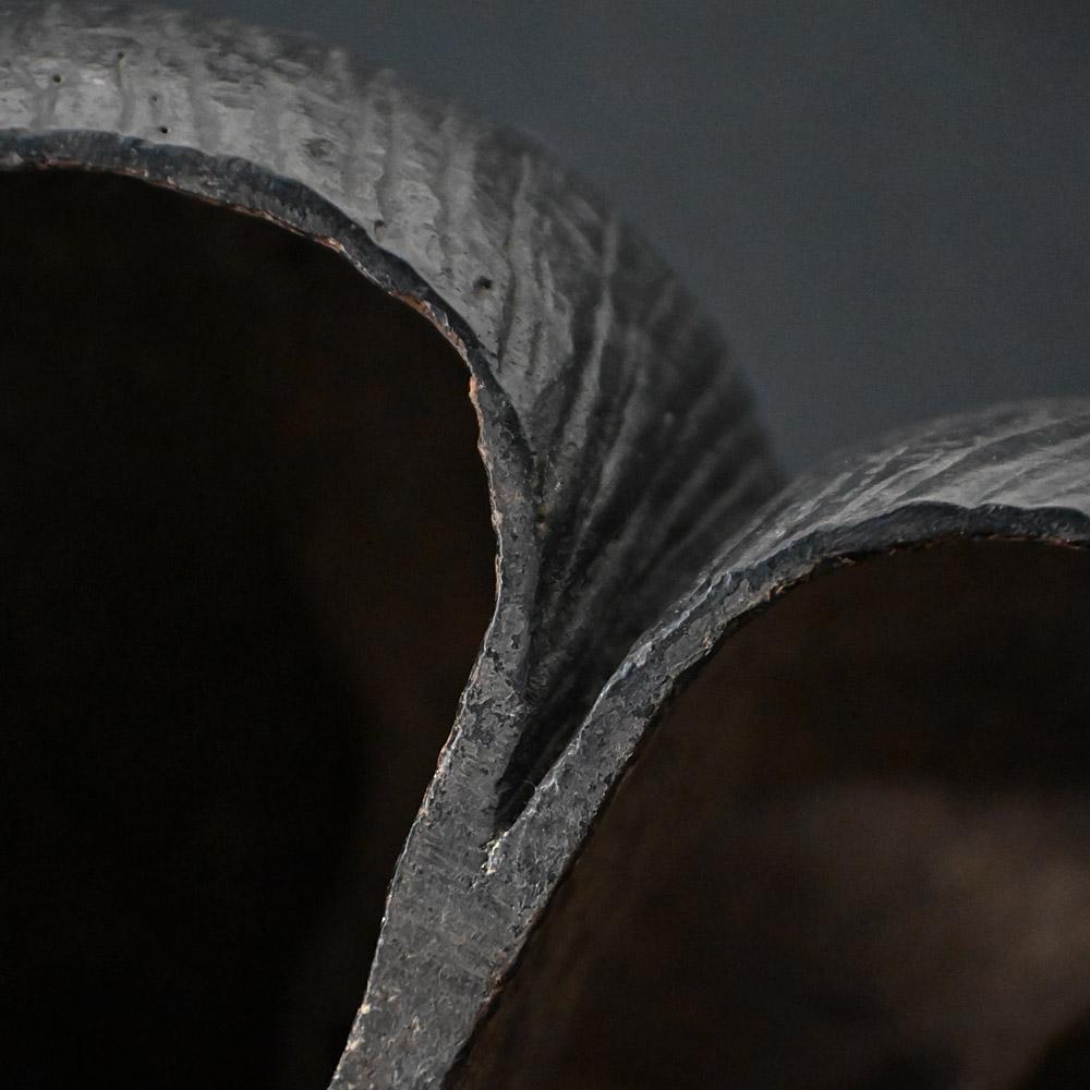 Hand-Crafted 19th century mounted Coco de Mer For Sale