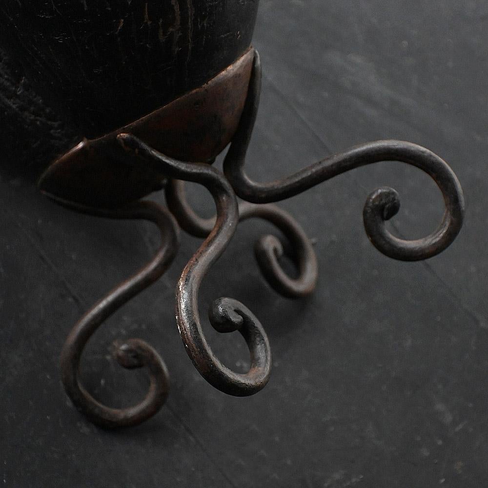 19th century mounted Coco de Mer For Sale 1