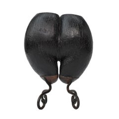 19th century mounted Coco de Mer