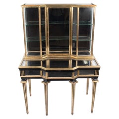 19th Century Napoleon III Black Lacquer and Brass Display Cabinet