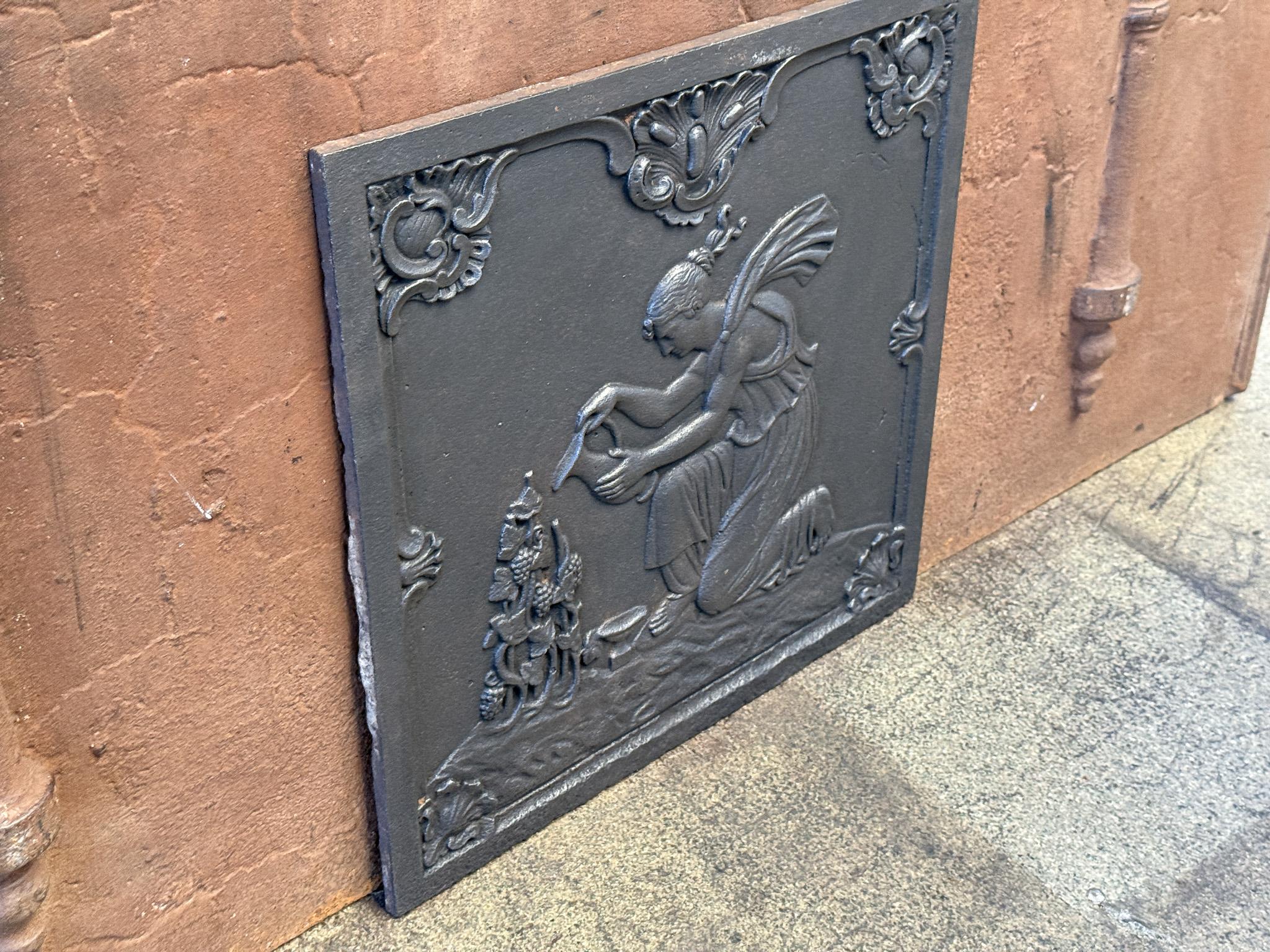 19th Century Napoleon III Period 'Viticulture' Fireback / Backsplash For Sale 2