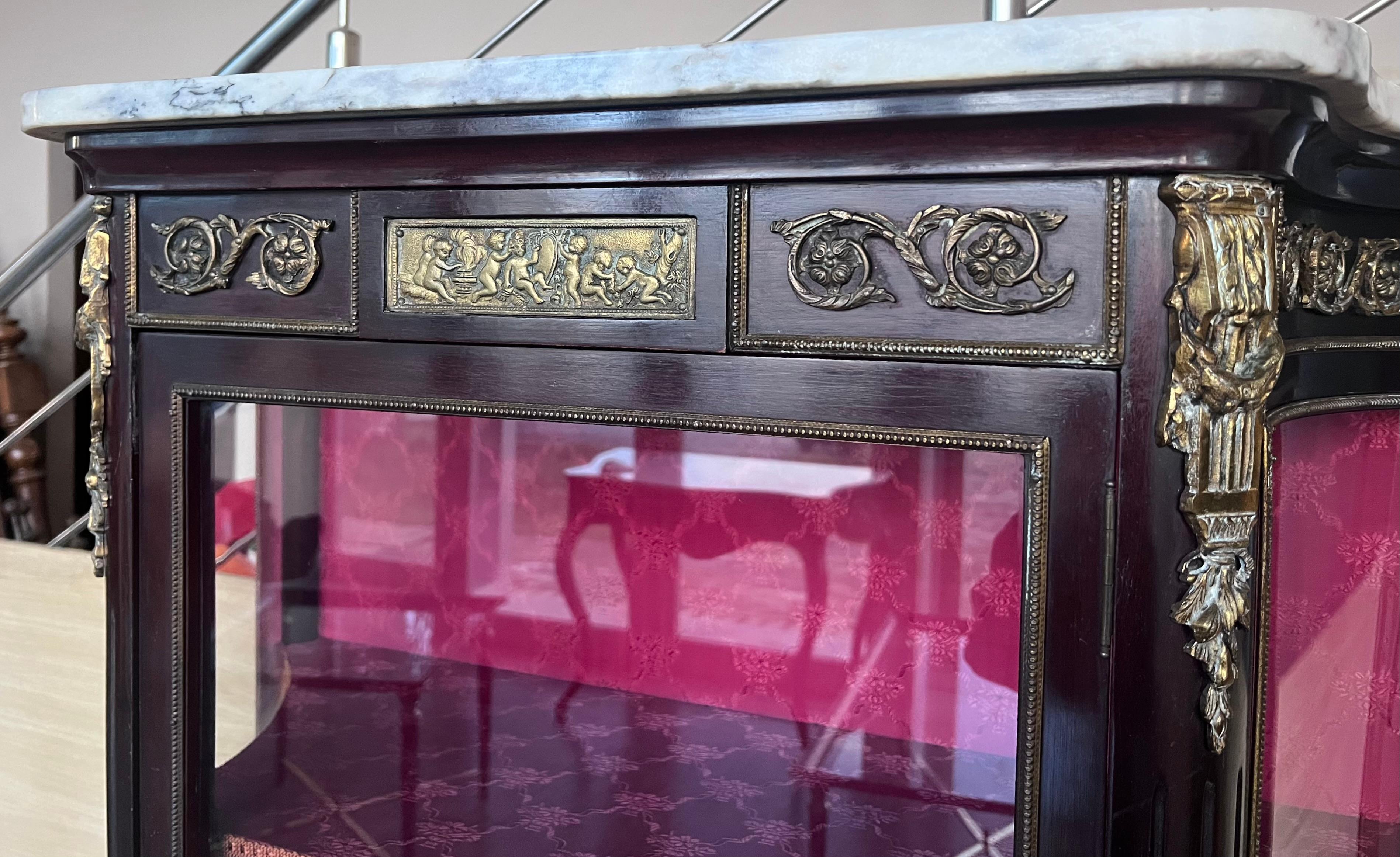 19th Century Napoleon III Style Vitrine For Sale 3
