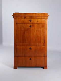 19th Century Narrow Biedermeier Secretary, Padouk, Antique Secretaire circa 1825