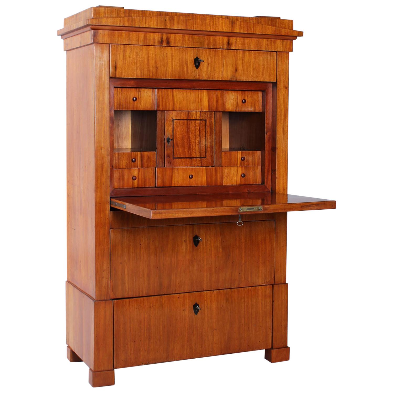 19th Century Narrow Biedermeier Secretary, Padouk, Antique Secretaire circa 1825