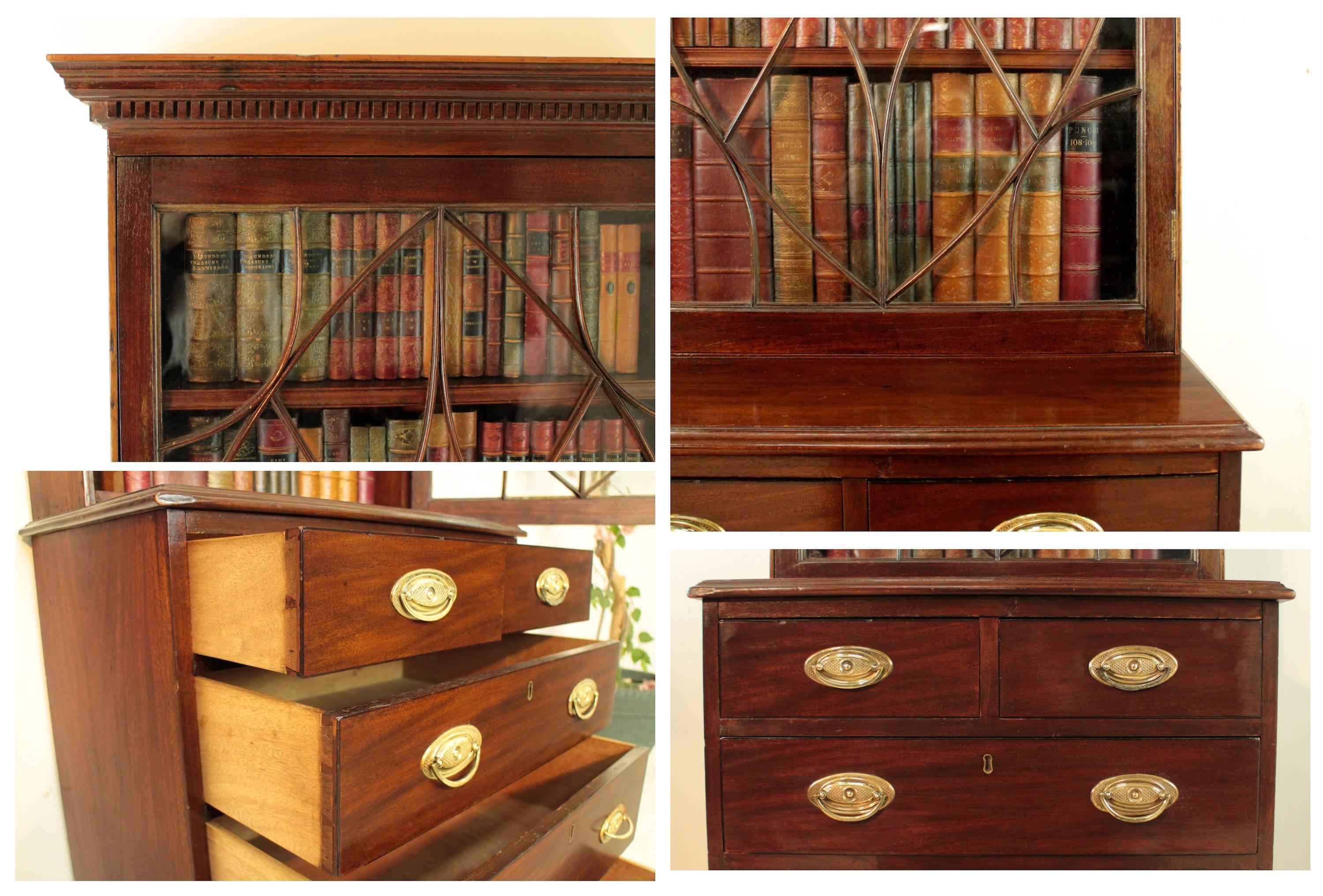 19th Century Narrow Mahogany Astragal Glazed Bookcase on Chest 2