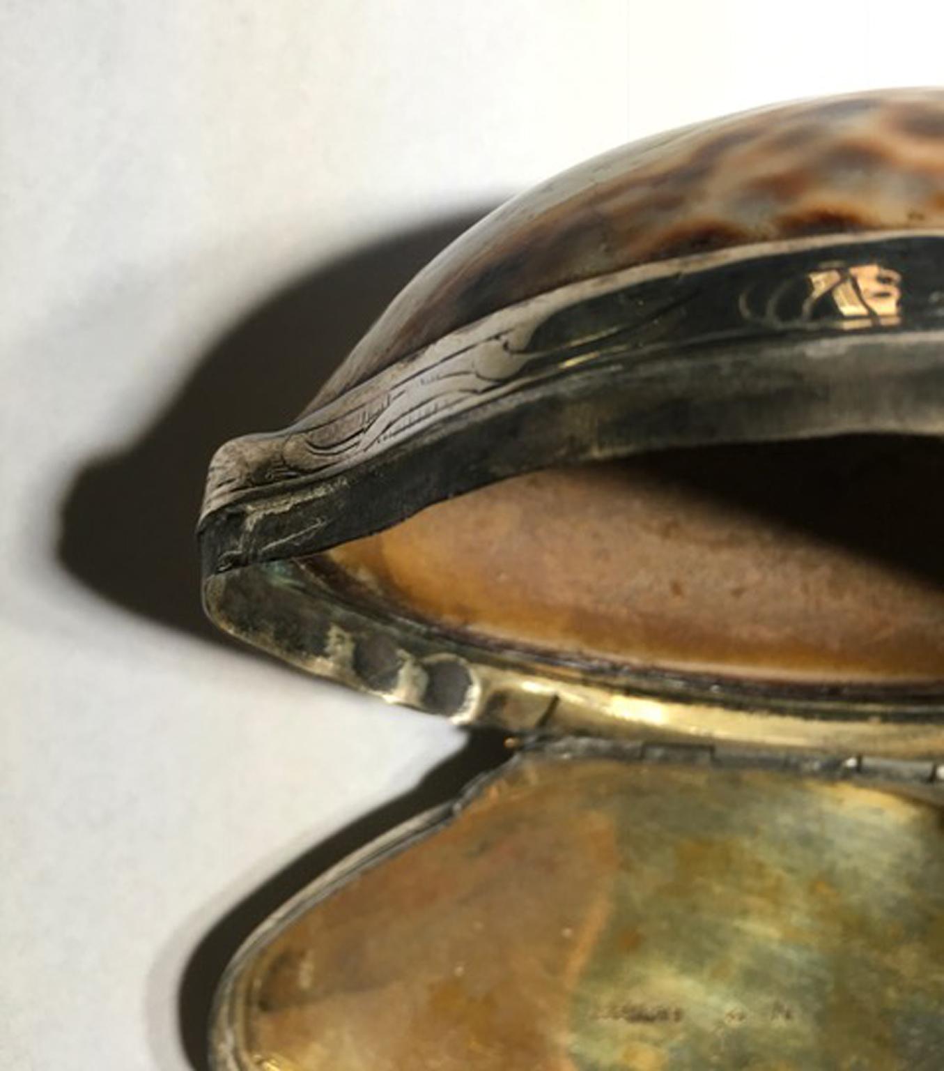 natürliche Muschel aus dem 19. Jahrhundert:: montiert in einer Silberdose 4