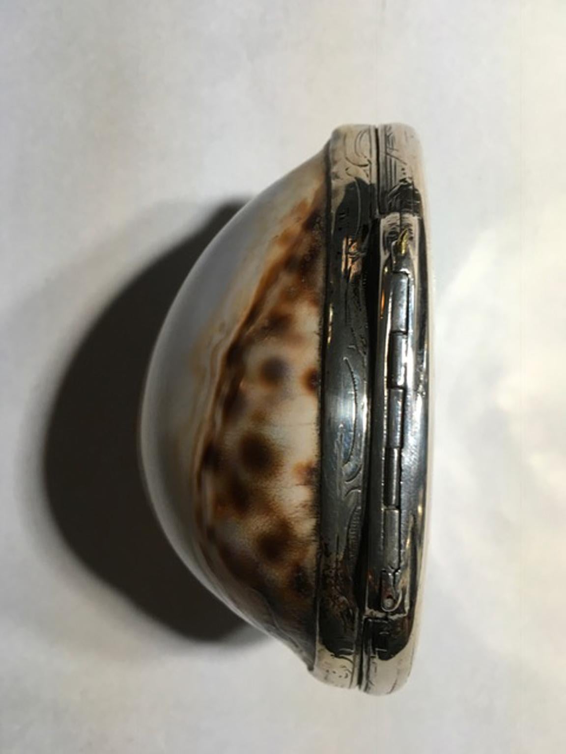 19th Century Natural Shell Mounted in Silver Box 7