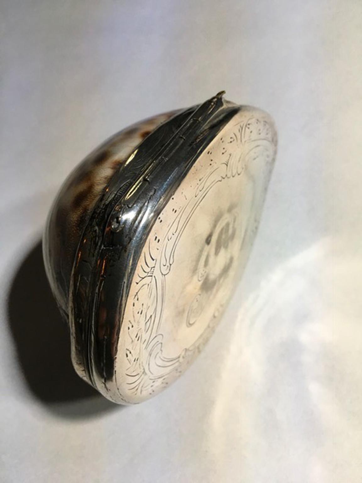 19th Century Natural Shell Mounted in Silver Box 8