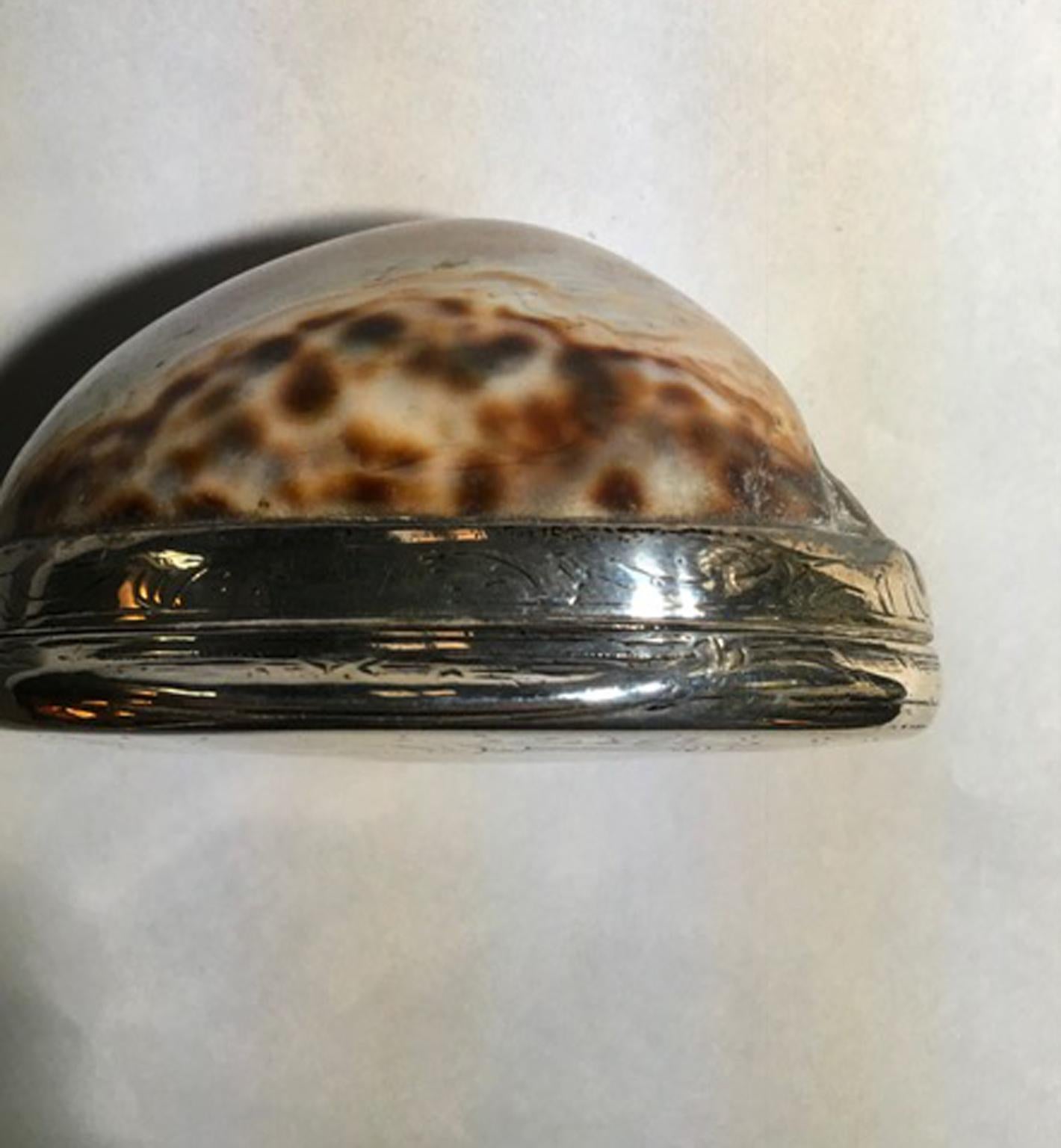 19th Century Natural Shell Mounted in Silver Box 9