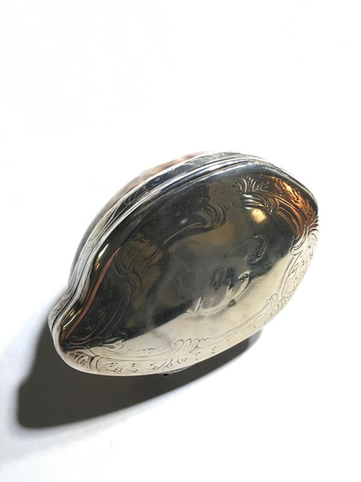 19th Century Natural Shell Mounted in Silver Box 10