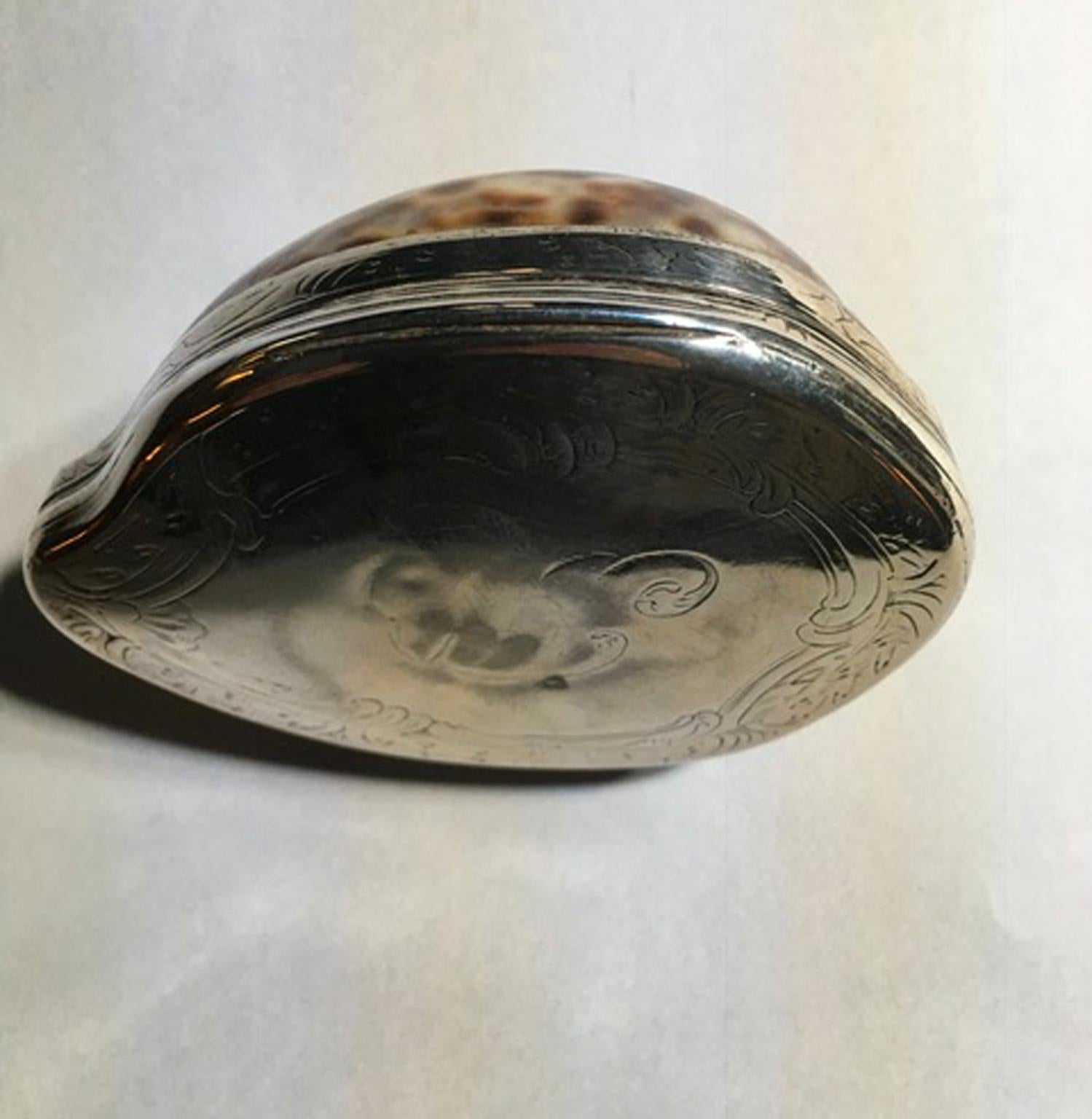 19th Century Natural Shell Mounted in Silver Box 11